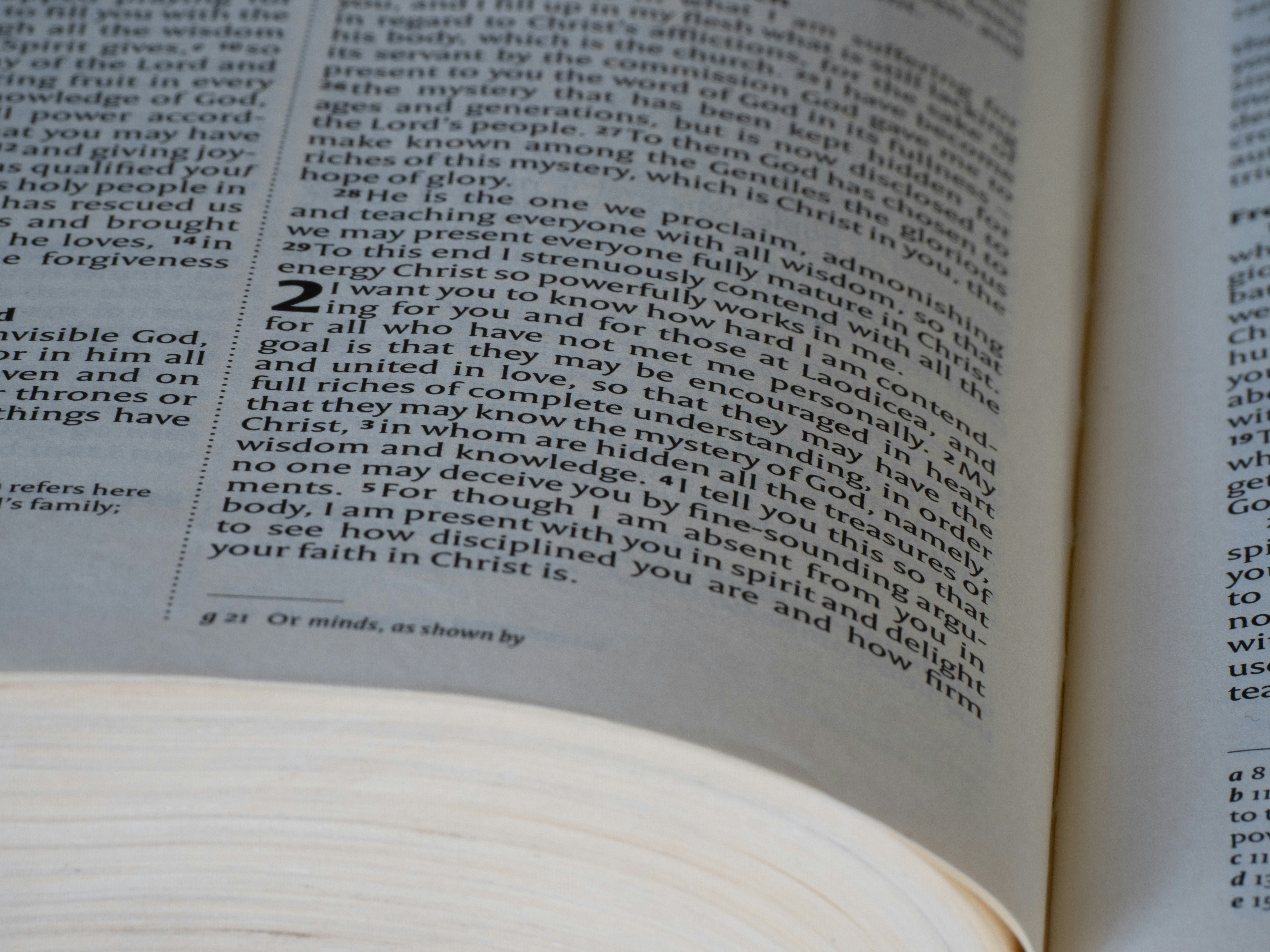 Photo by brett_jordan