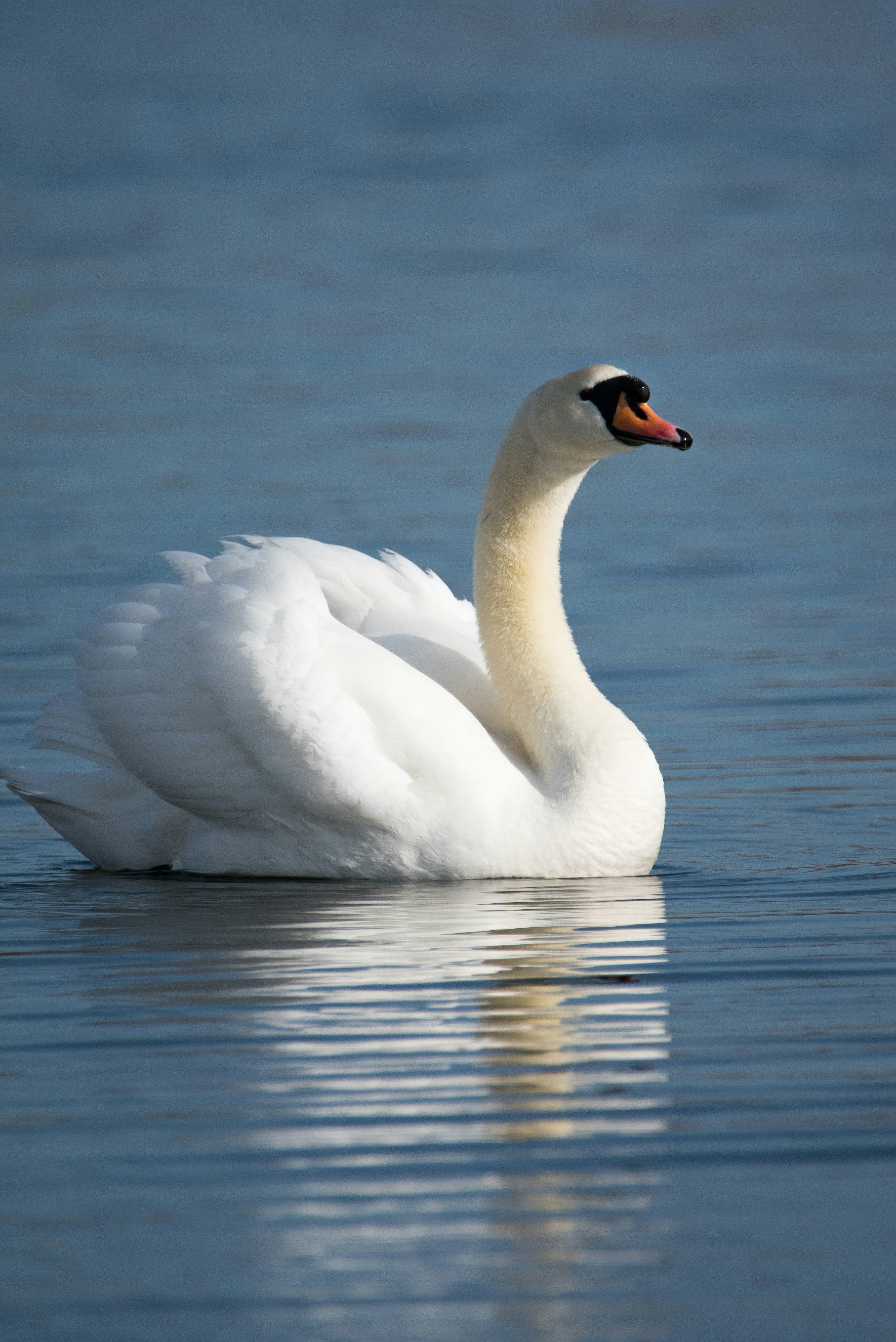 Photo by samuel_hagger