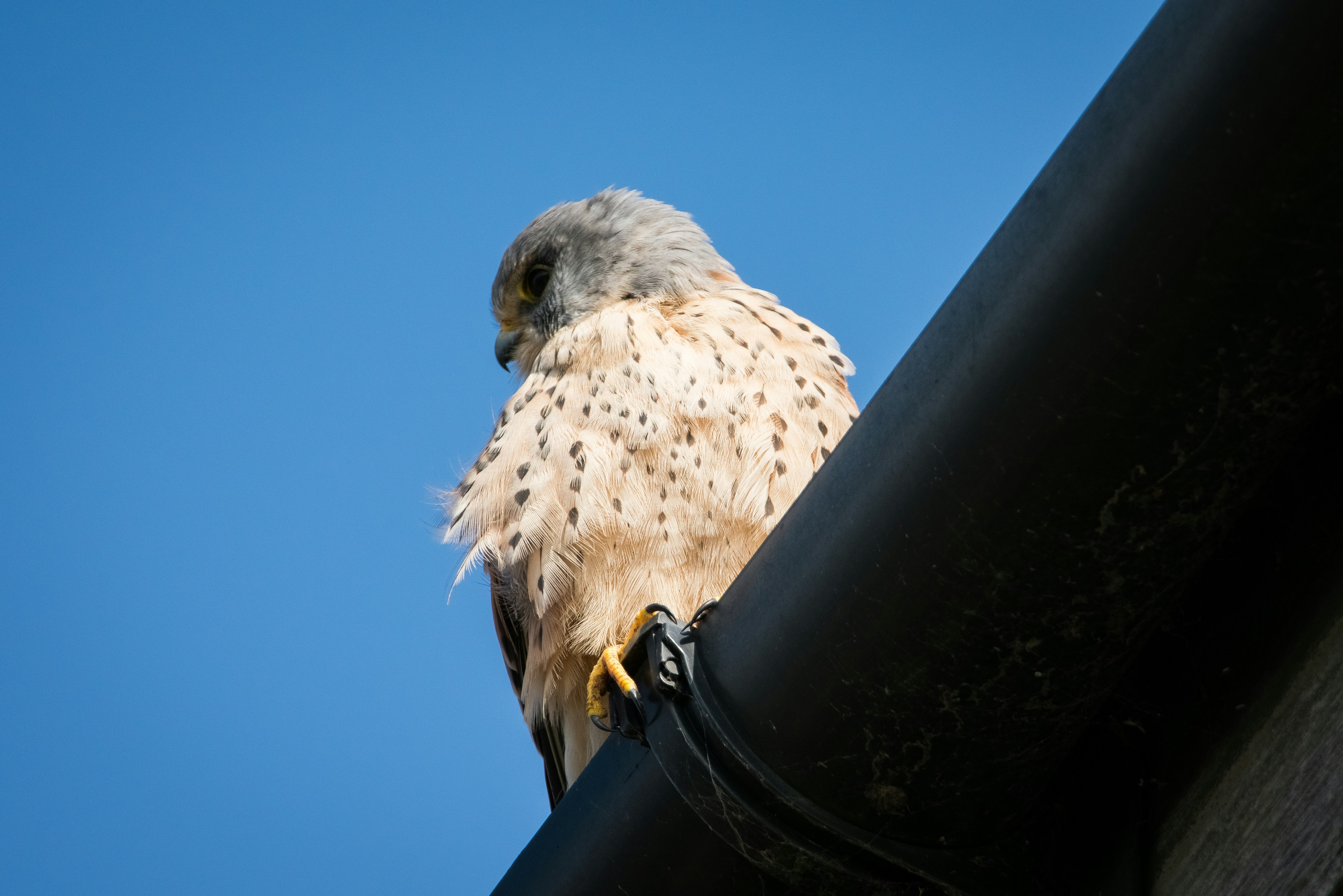 Photo by samuel_hagger