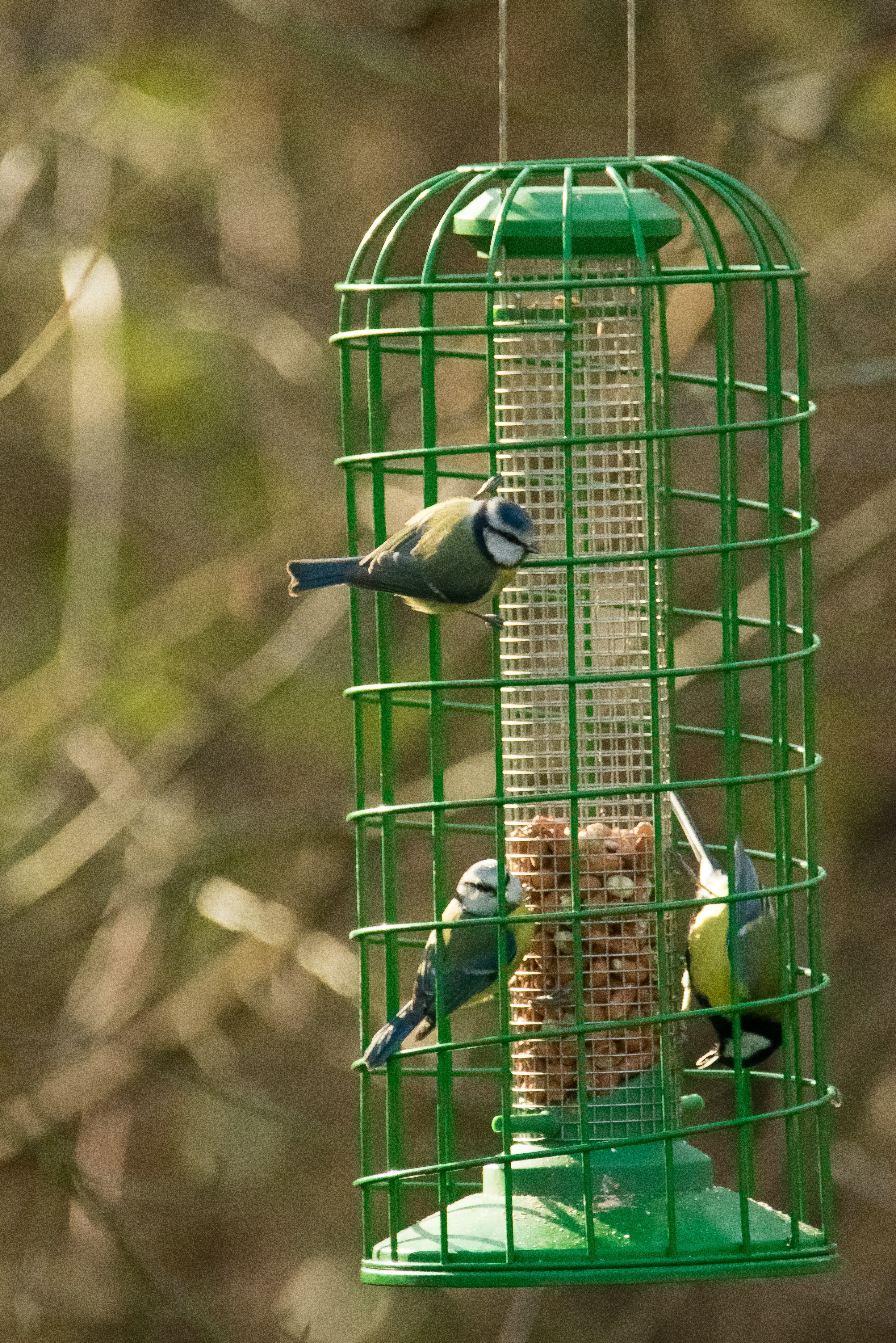 Photo by samuel_hagger