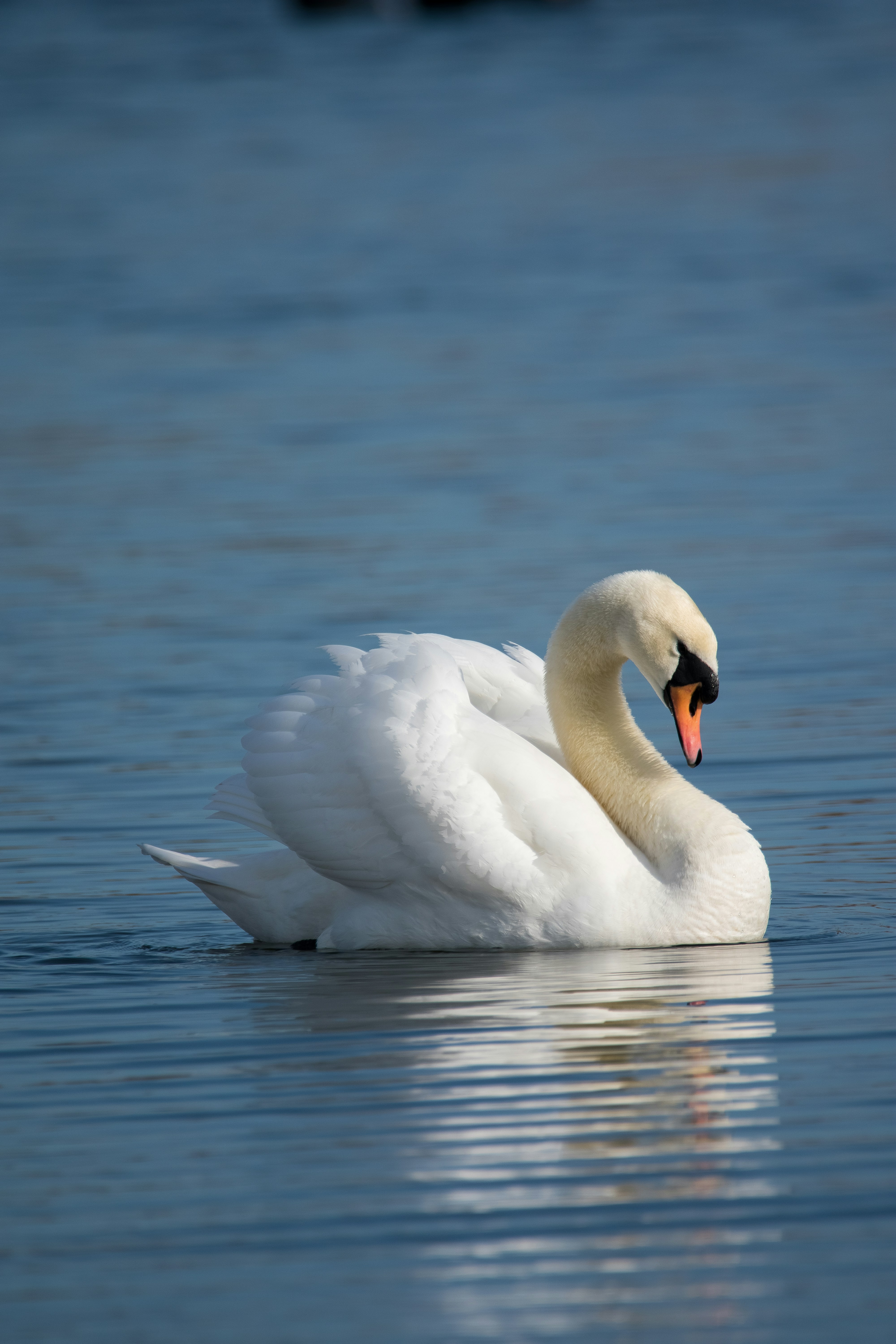 Photo by samuel_hagger