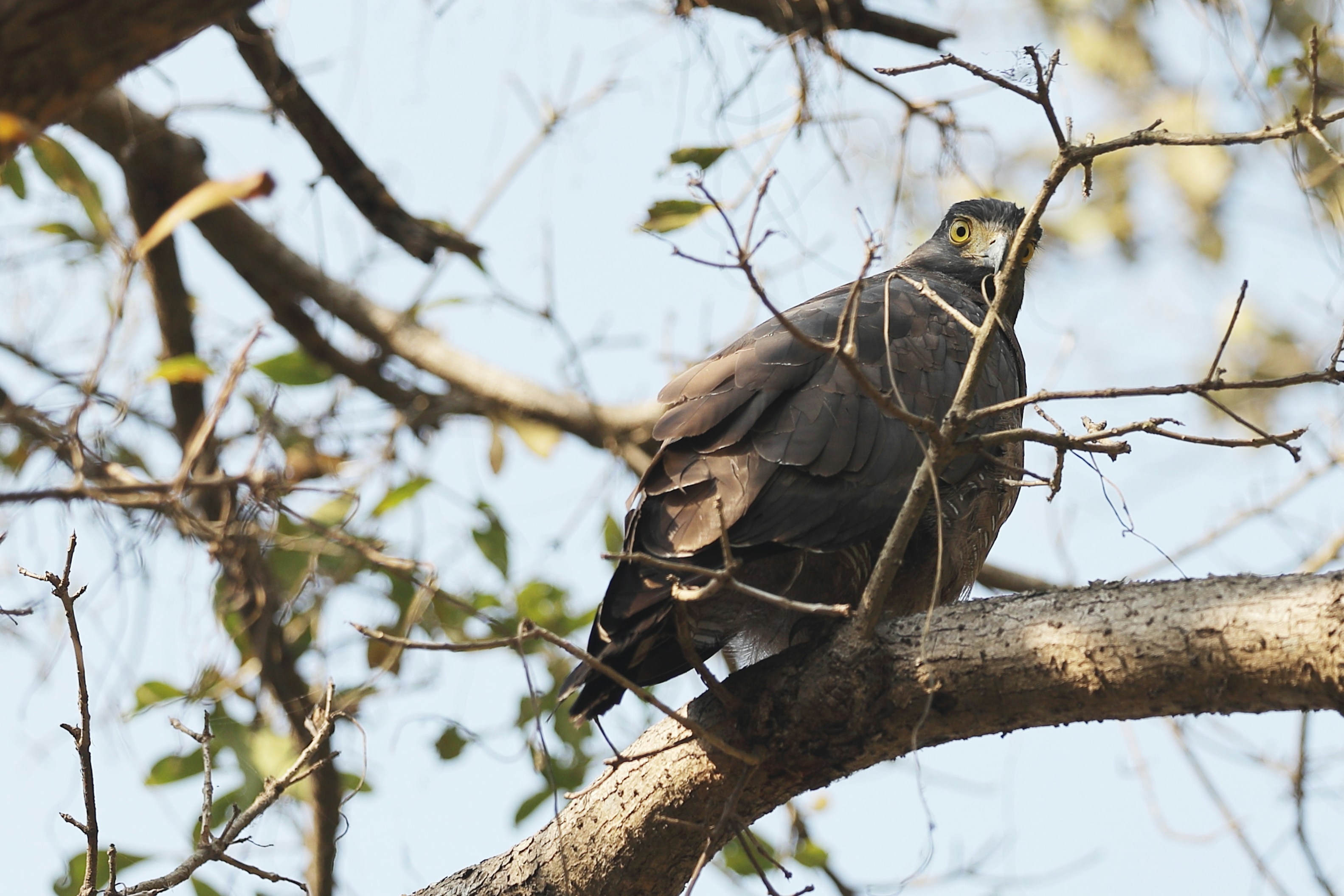 Photo by lakshmimn68