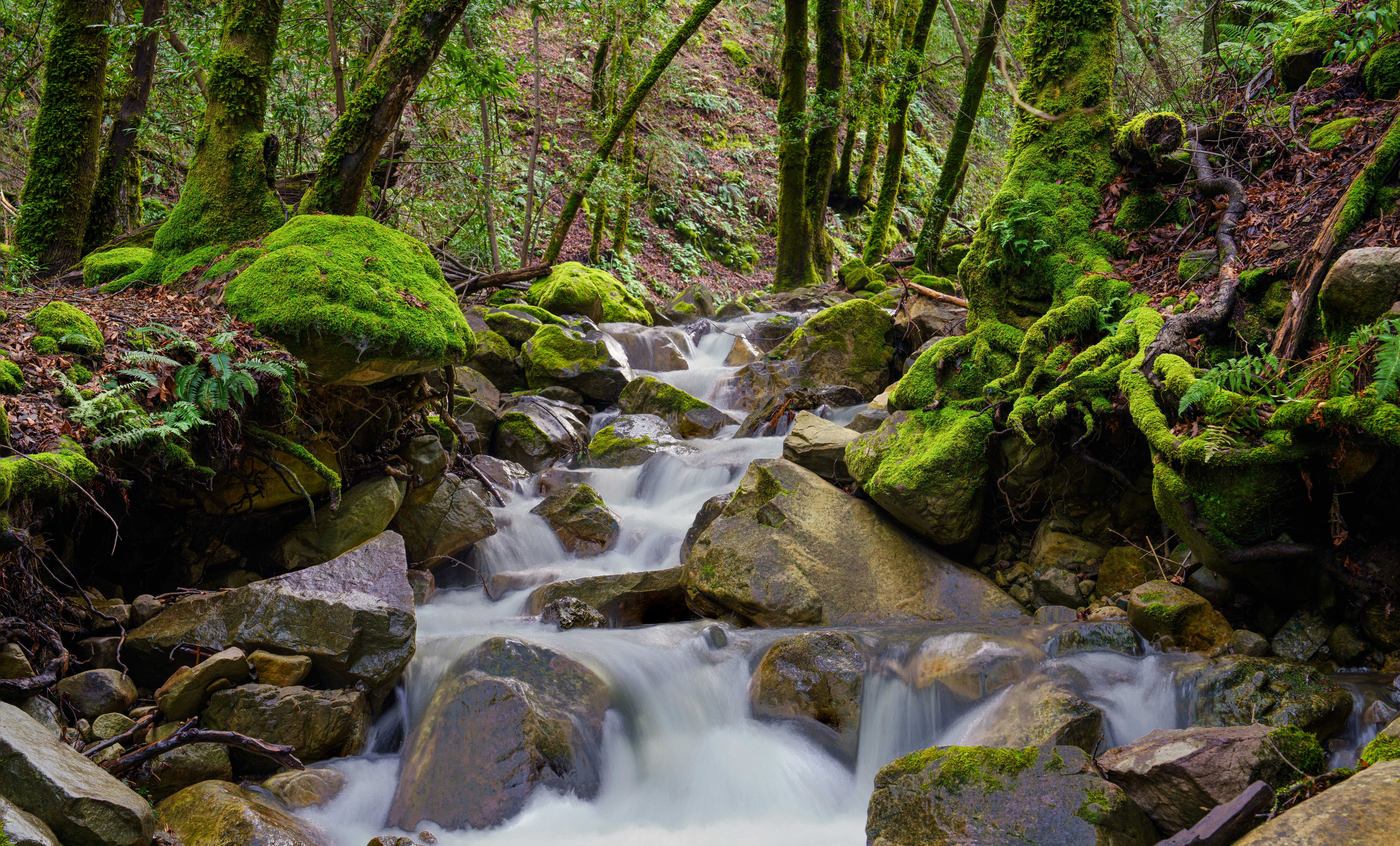 Photo by happy_pixel