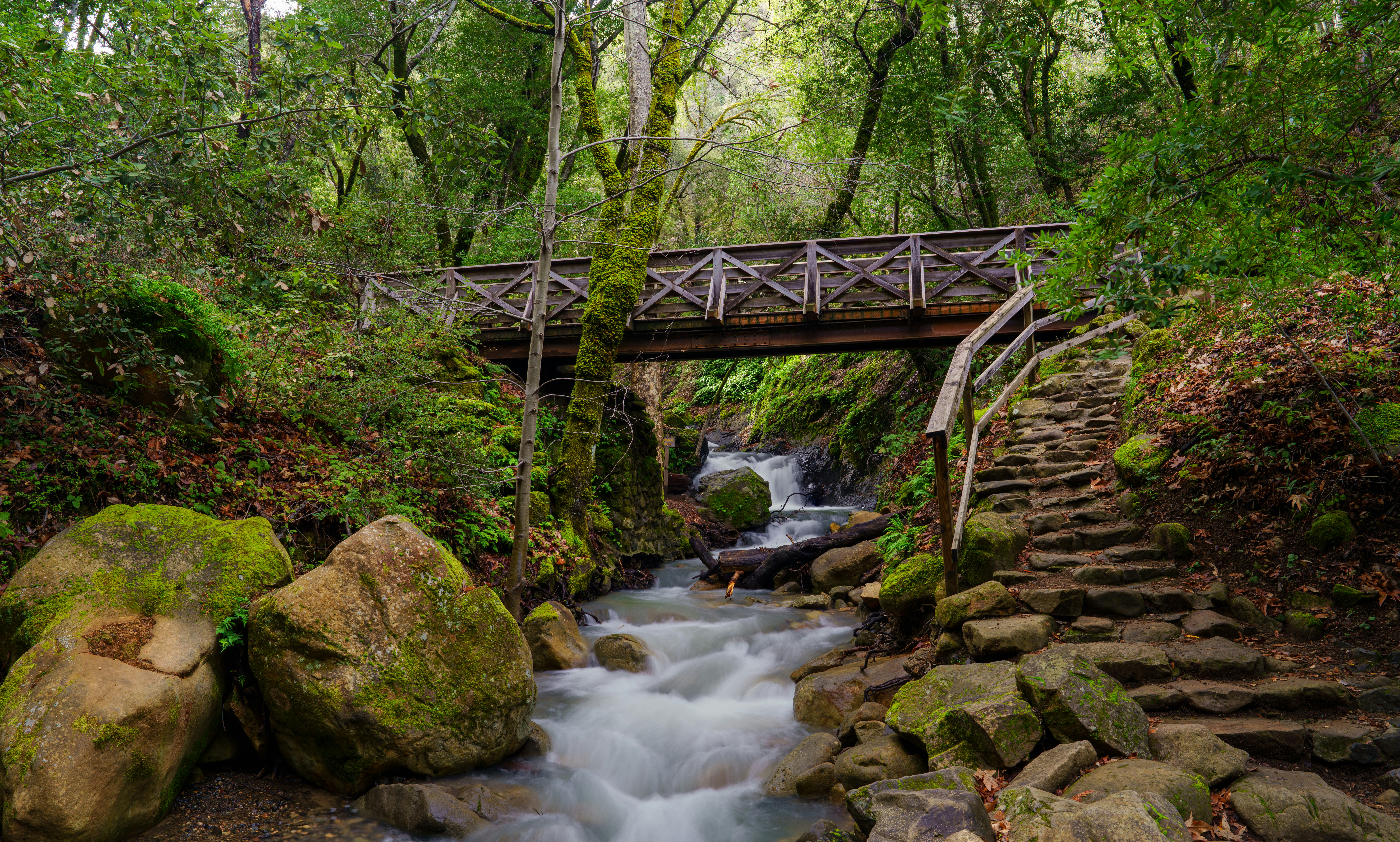 Photo by happy_pixel