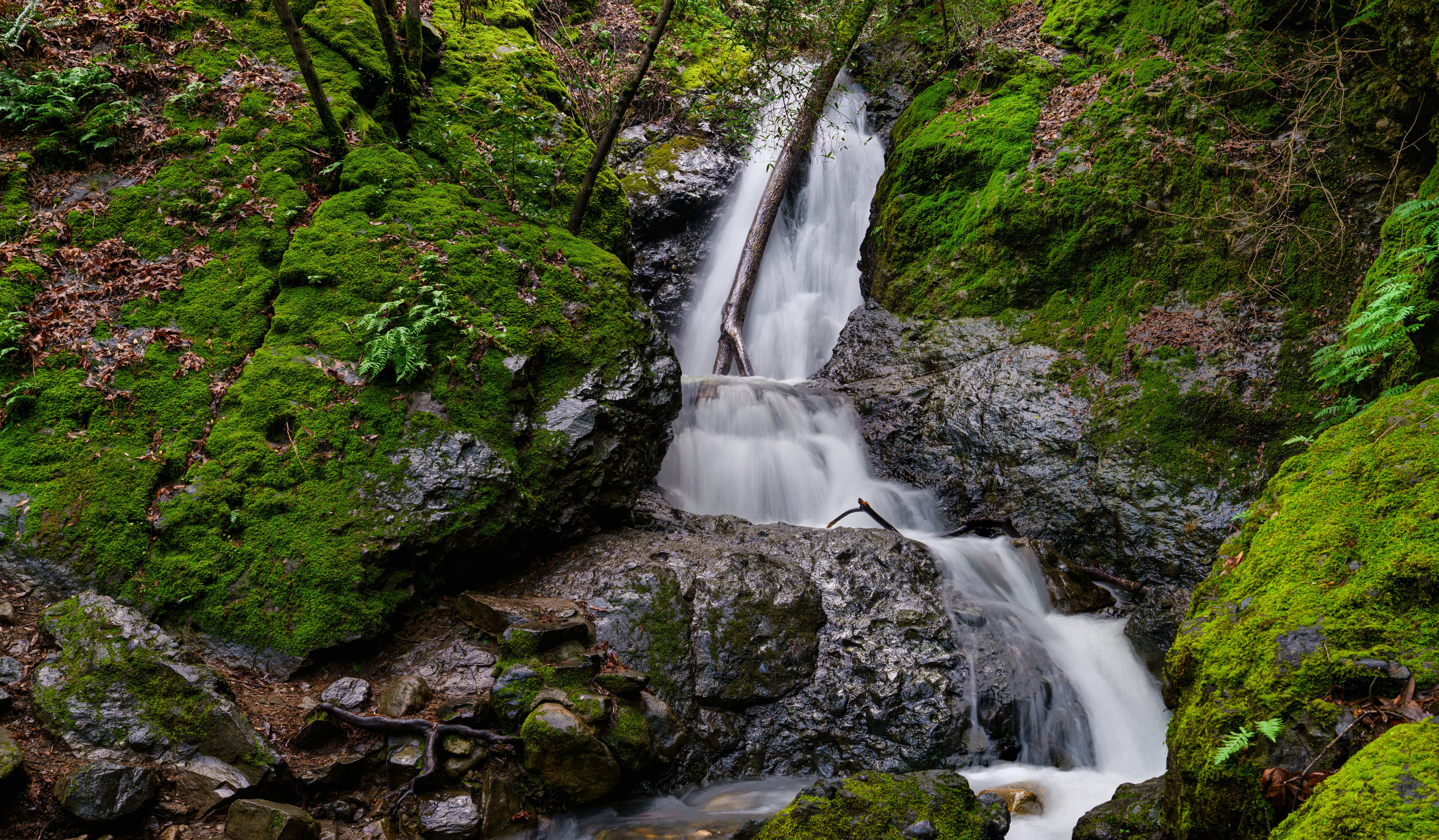 Photo by happy_pixel