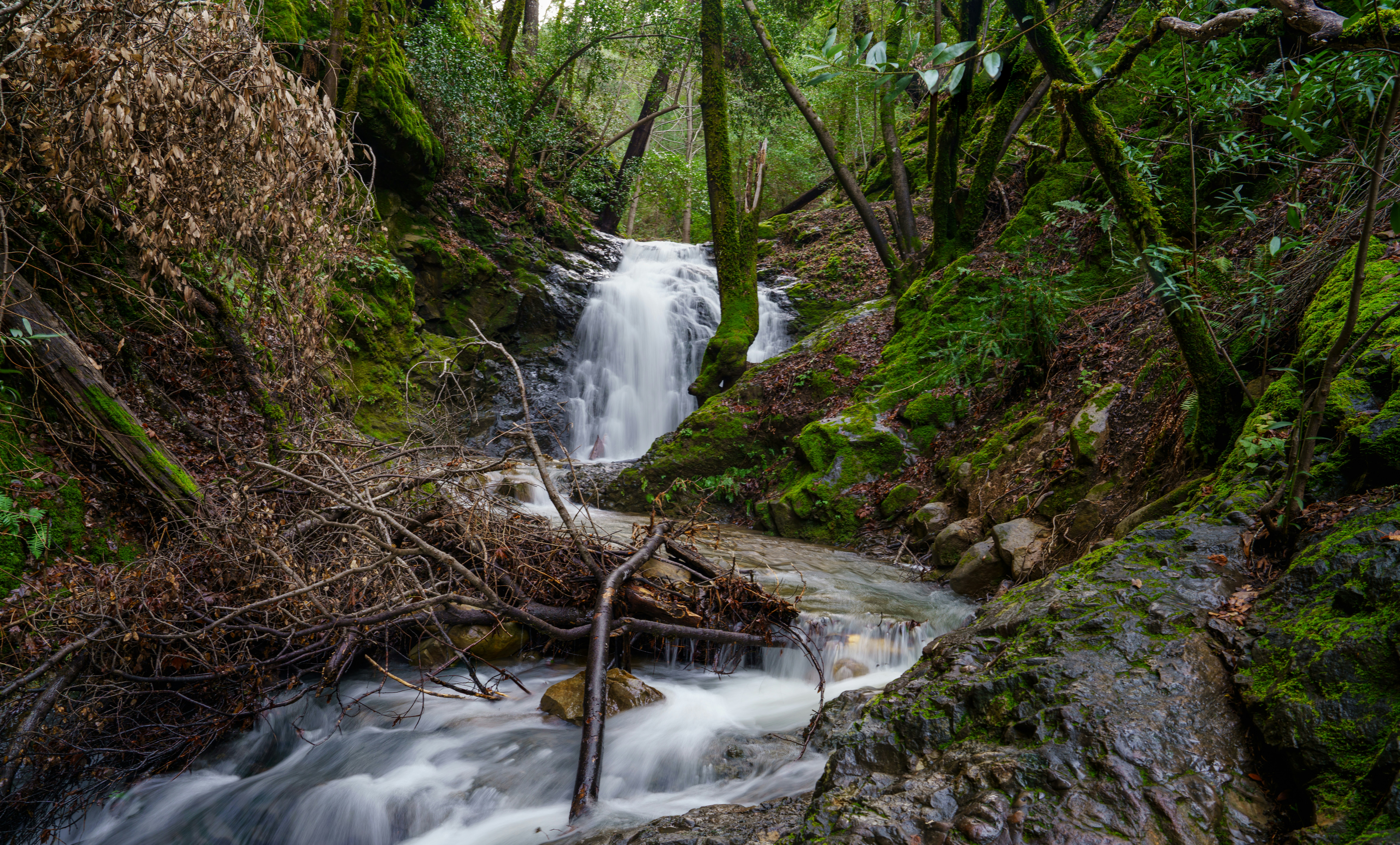 Photo by happy_pixel