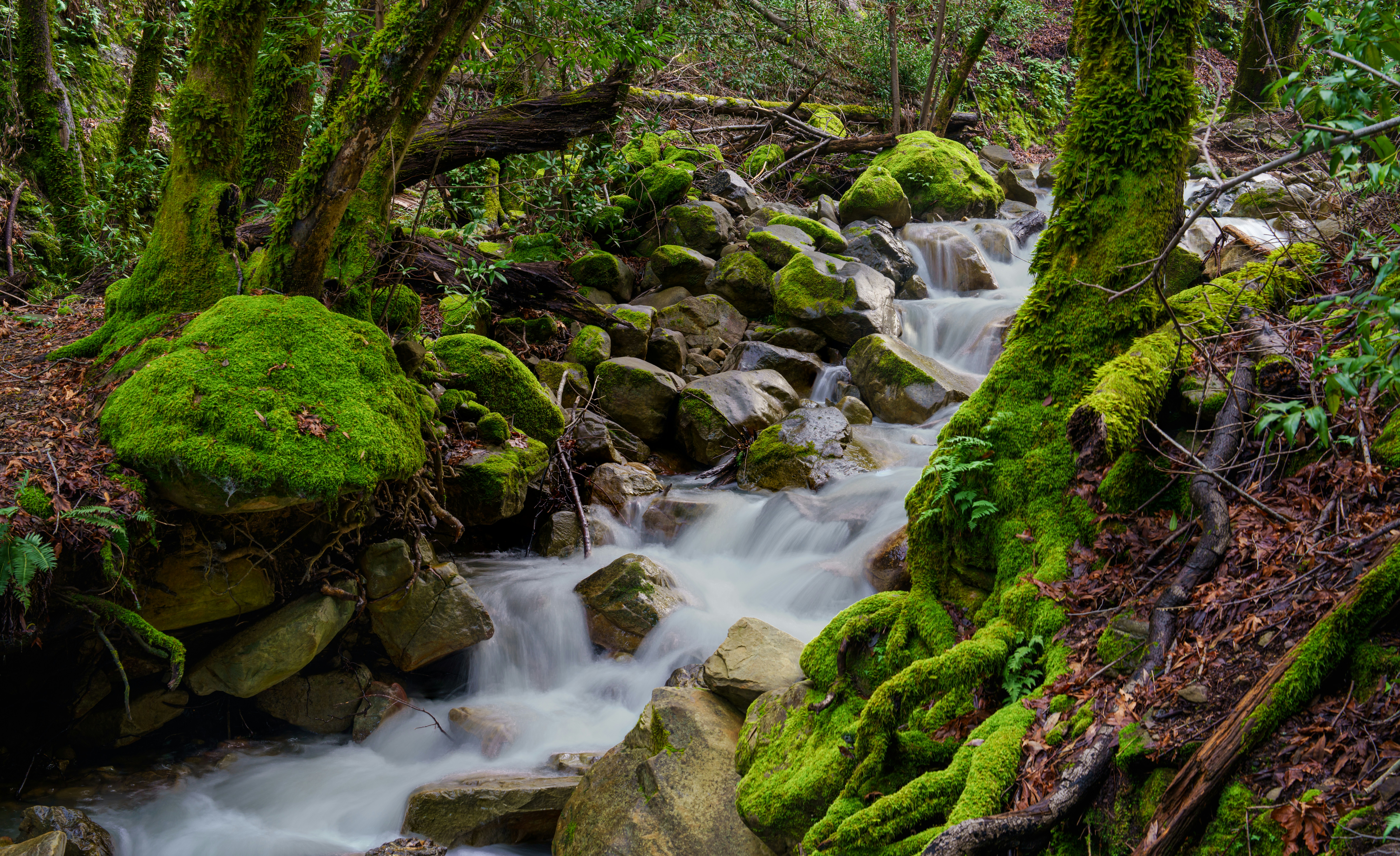 Photo by happy_pixel