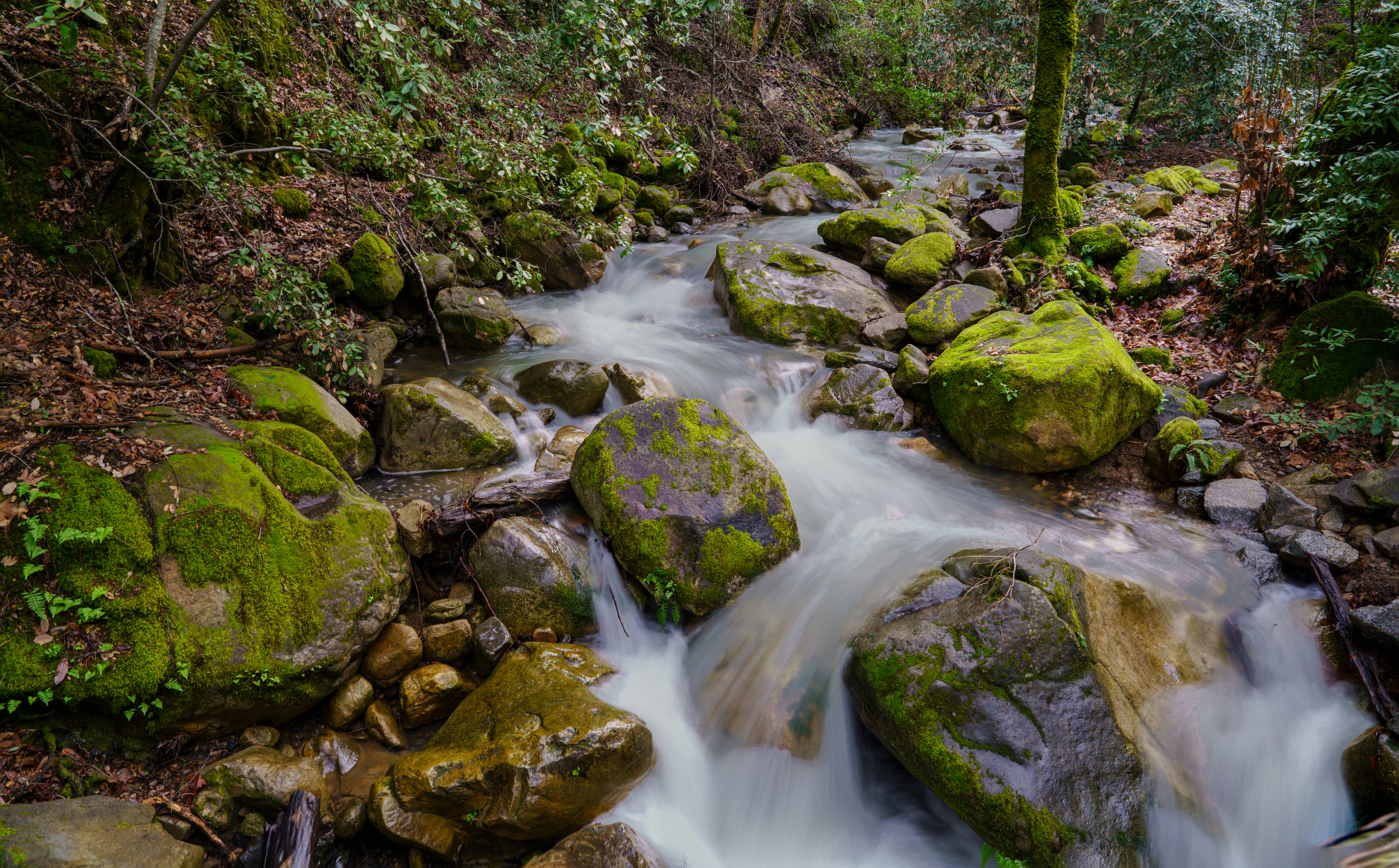 Photo by happy_pixel