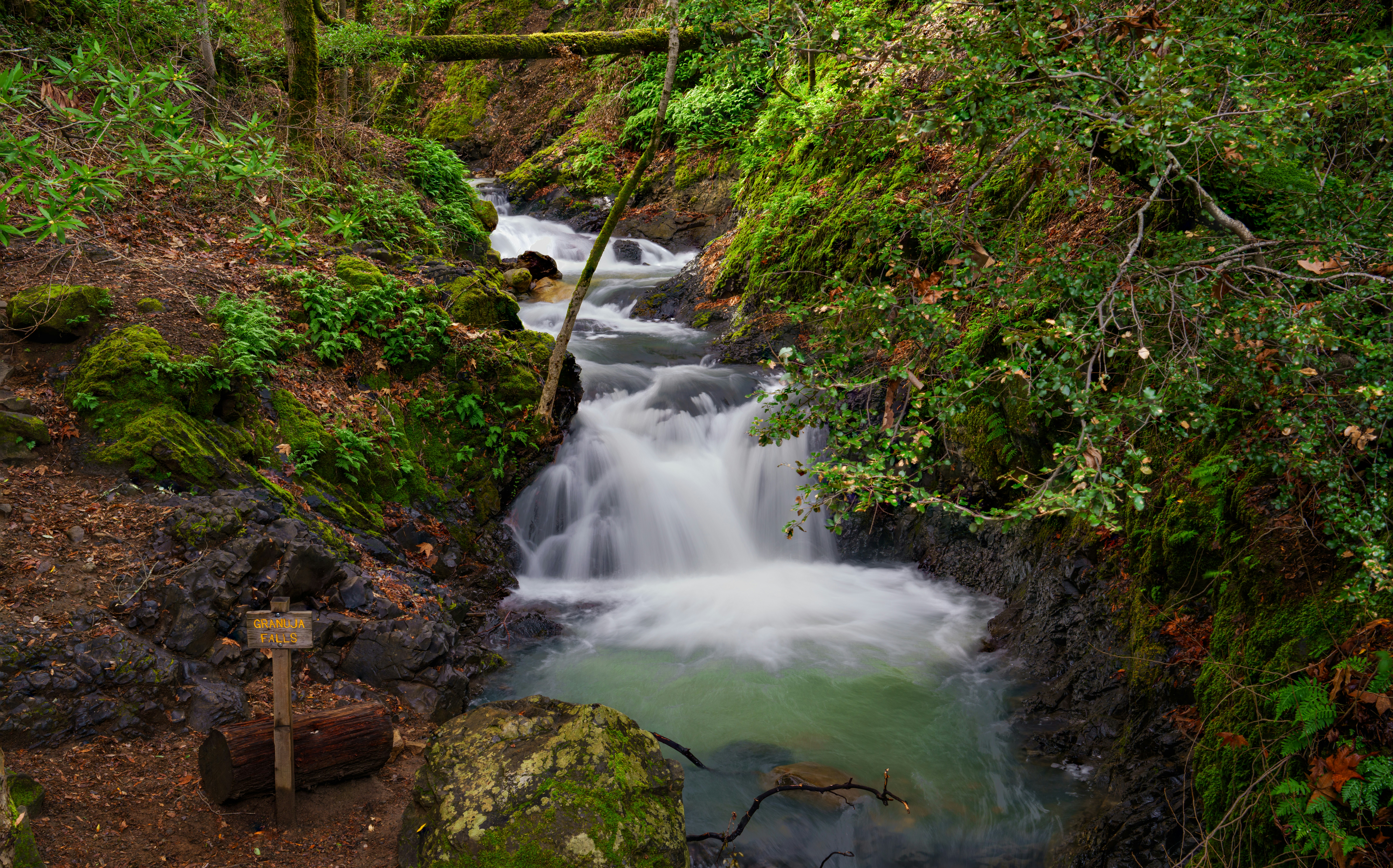 Photo by happy_pixel