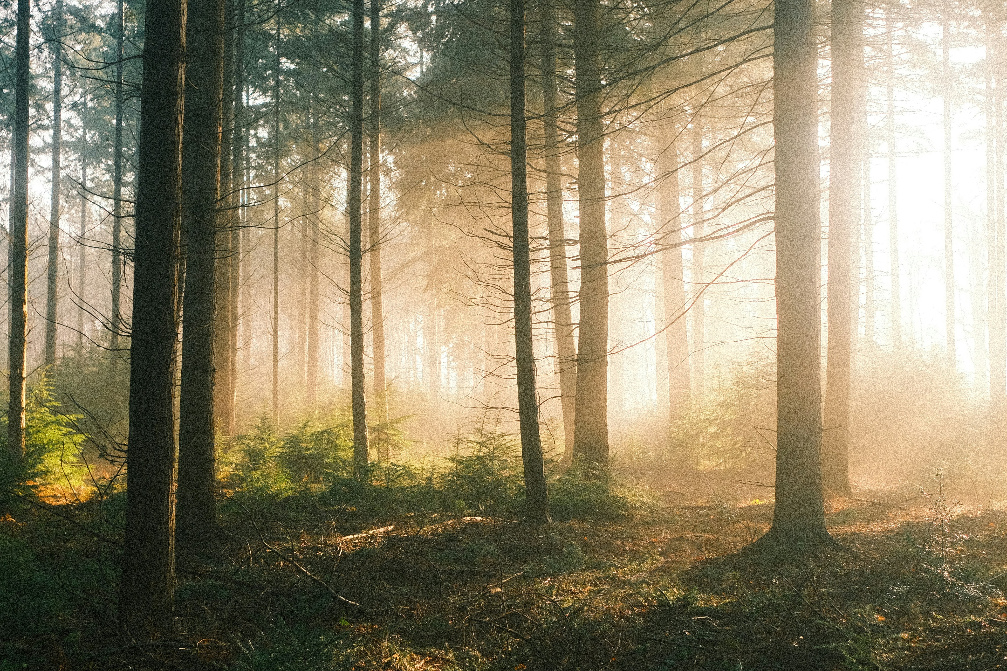 Photo by visualsbying