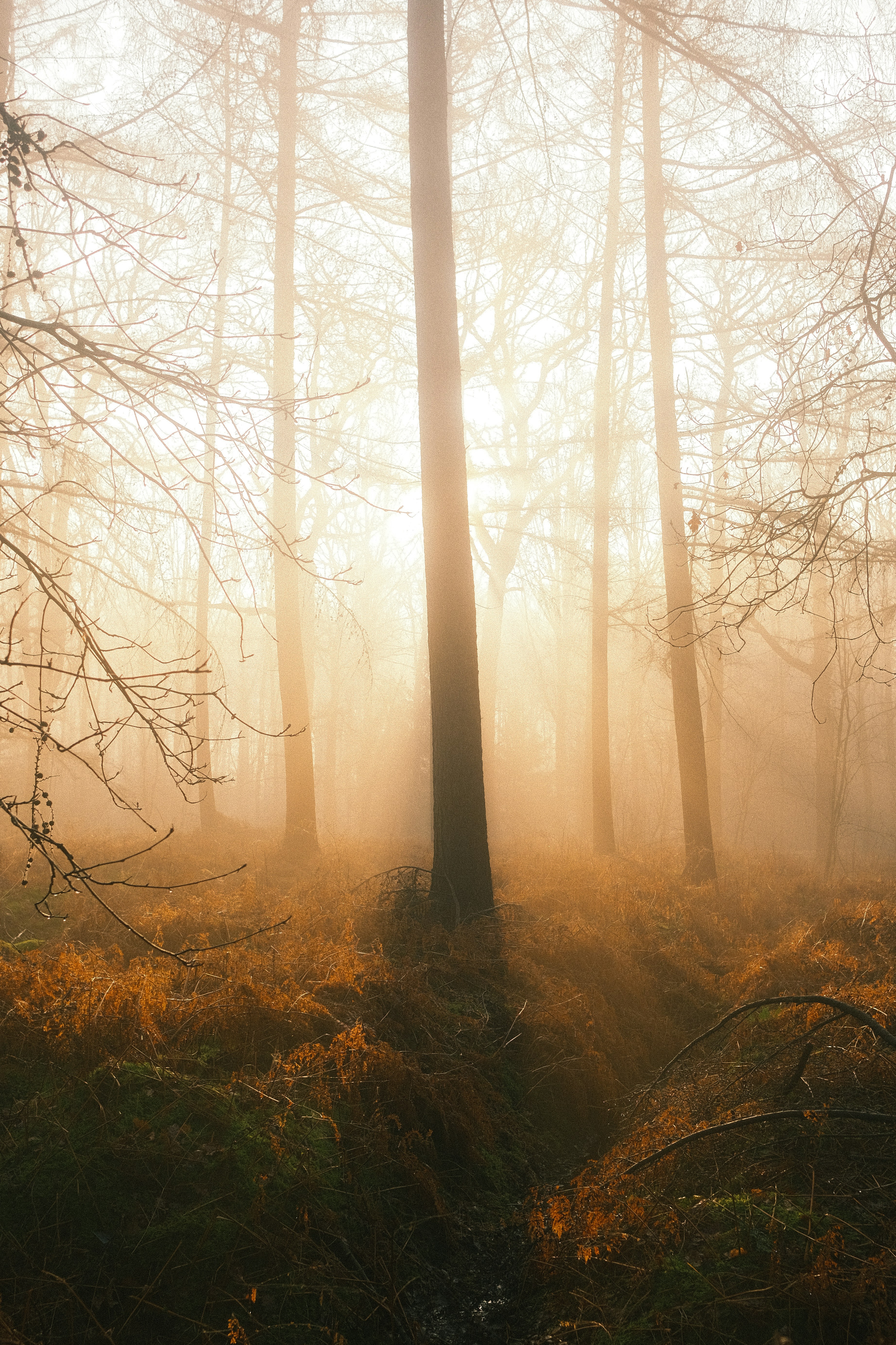 Photo by visualsbying