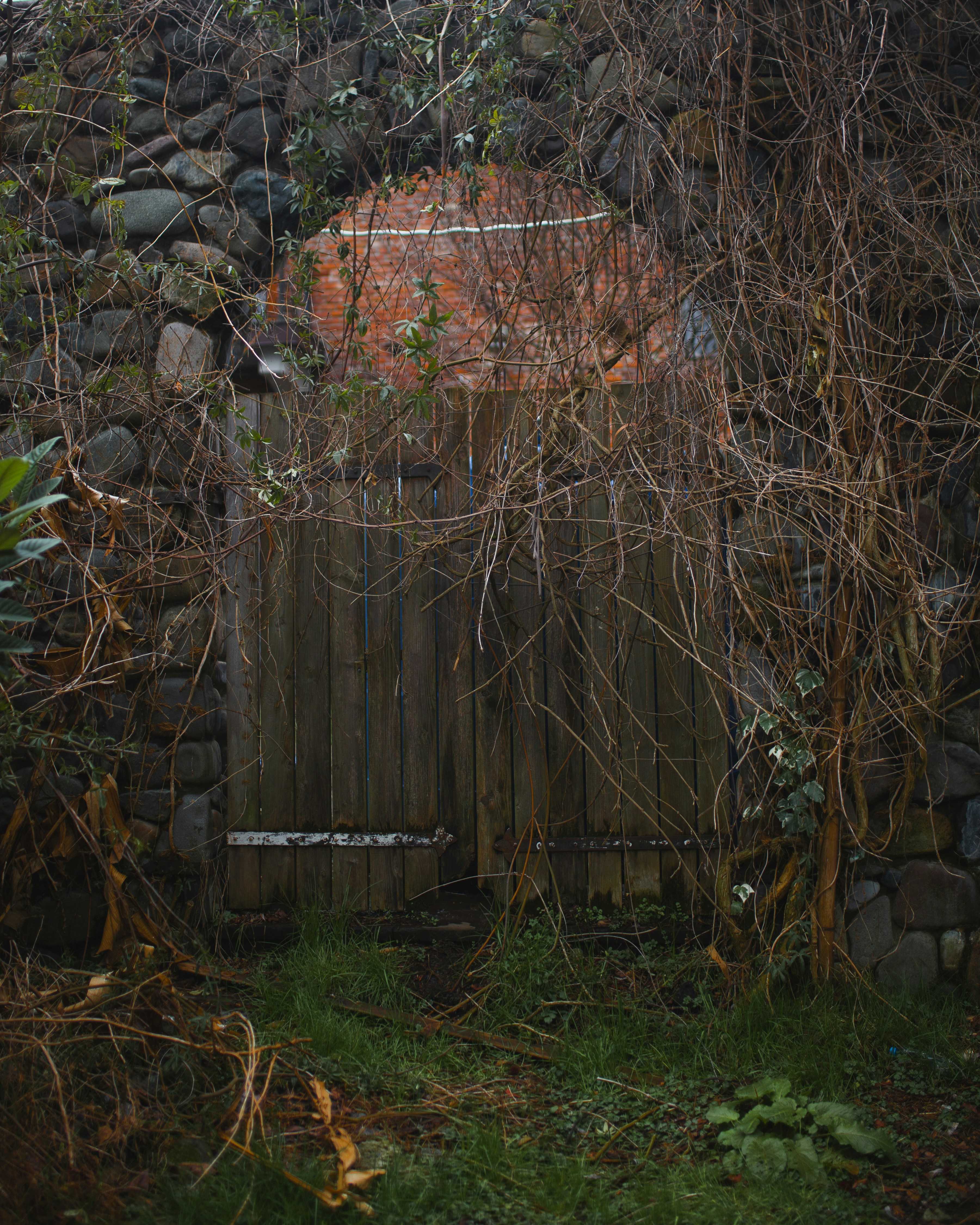 A wooden gate surrounded by vines and rocks