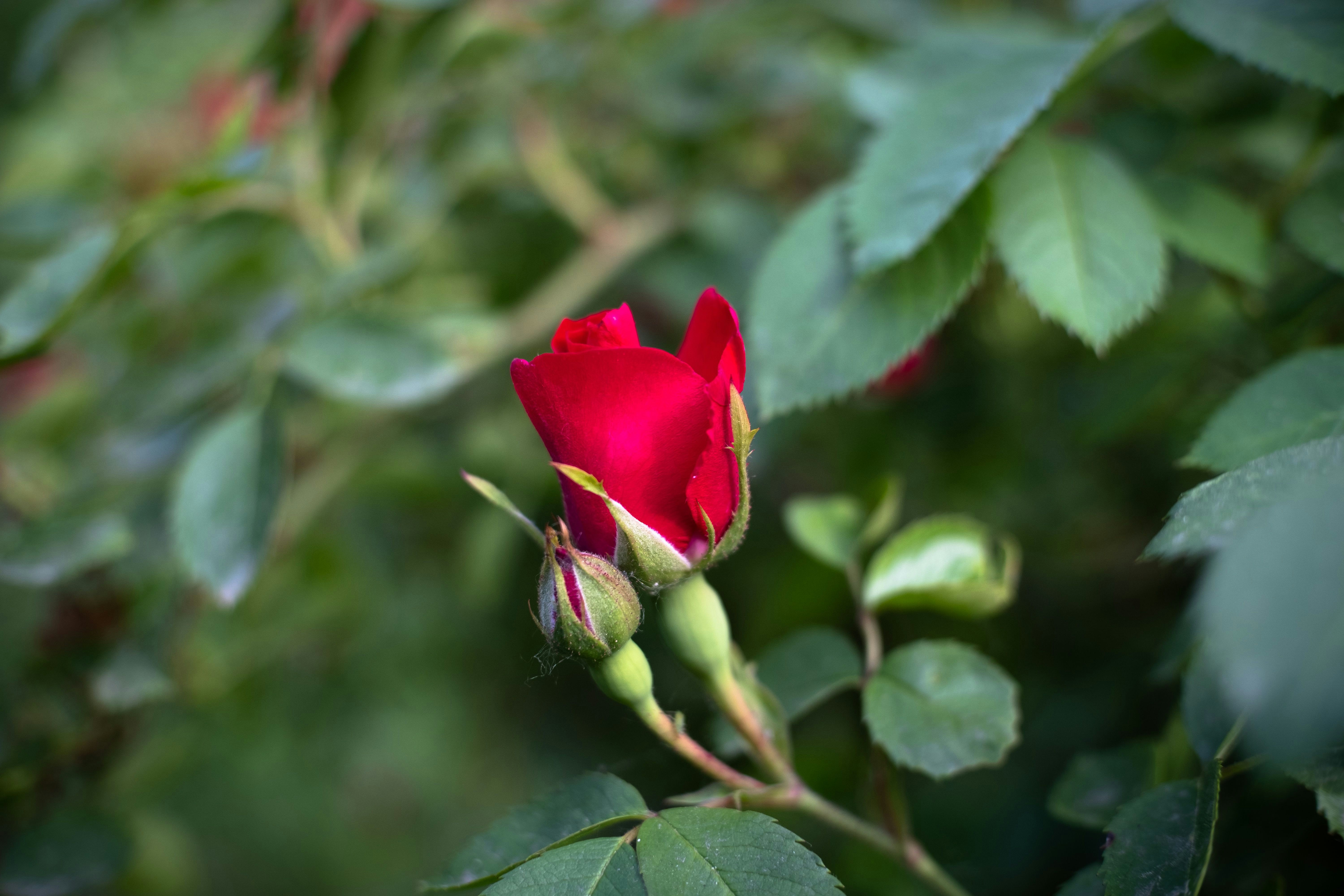 Photo by sevencolors