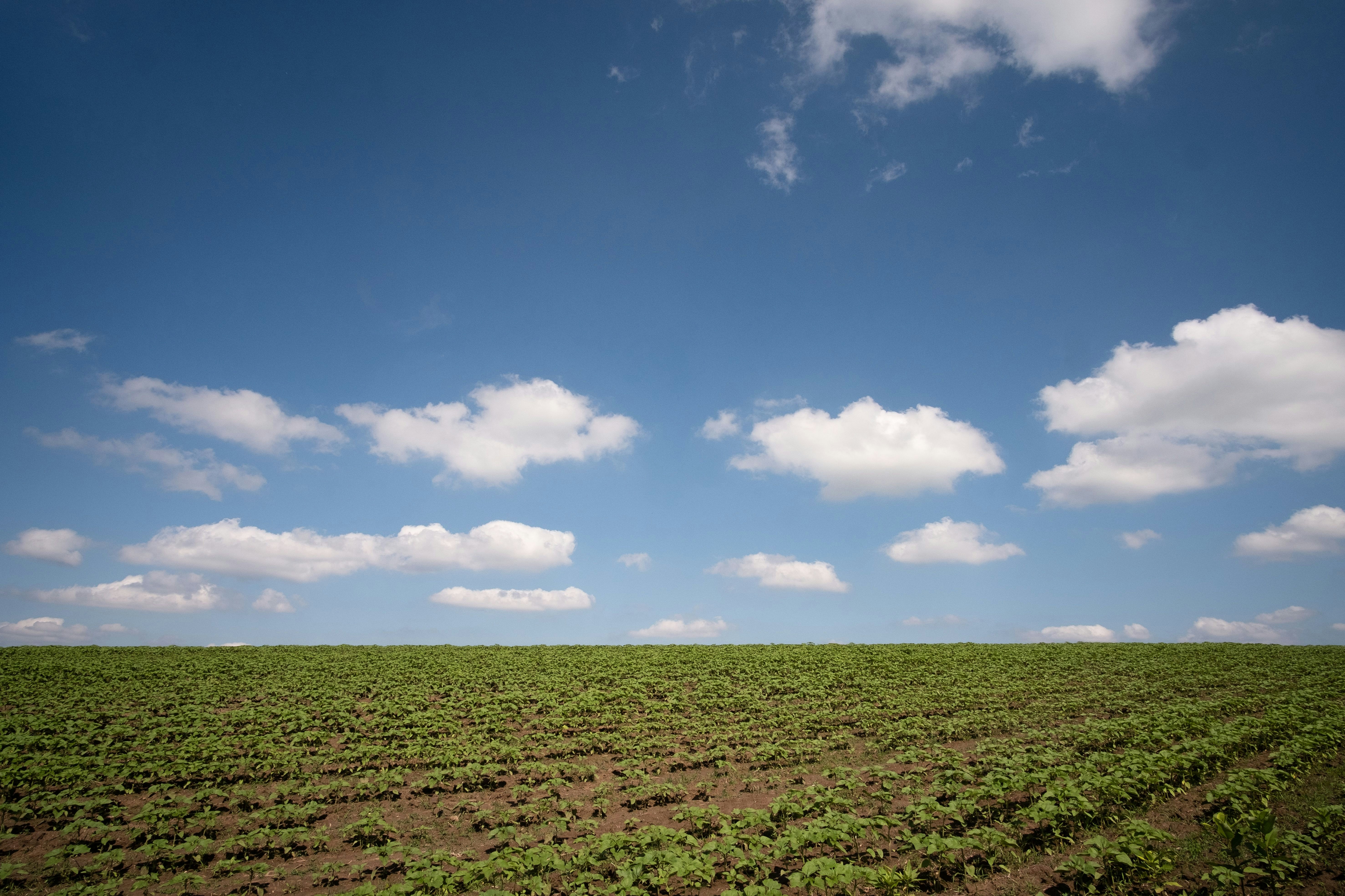 Photo by sevencolors