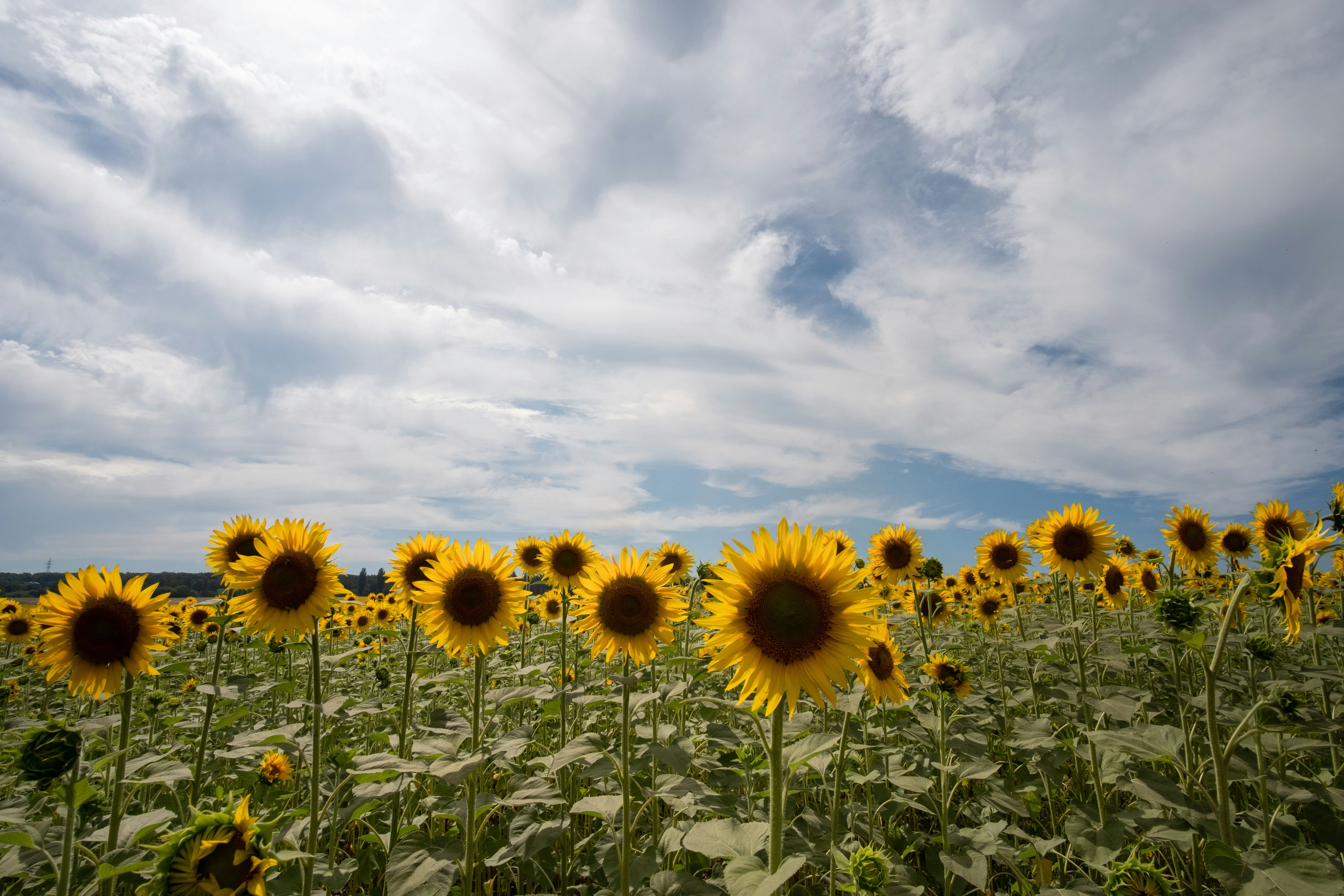 Photo by sevencolors