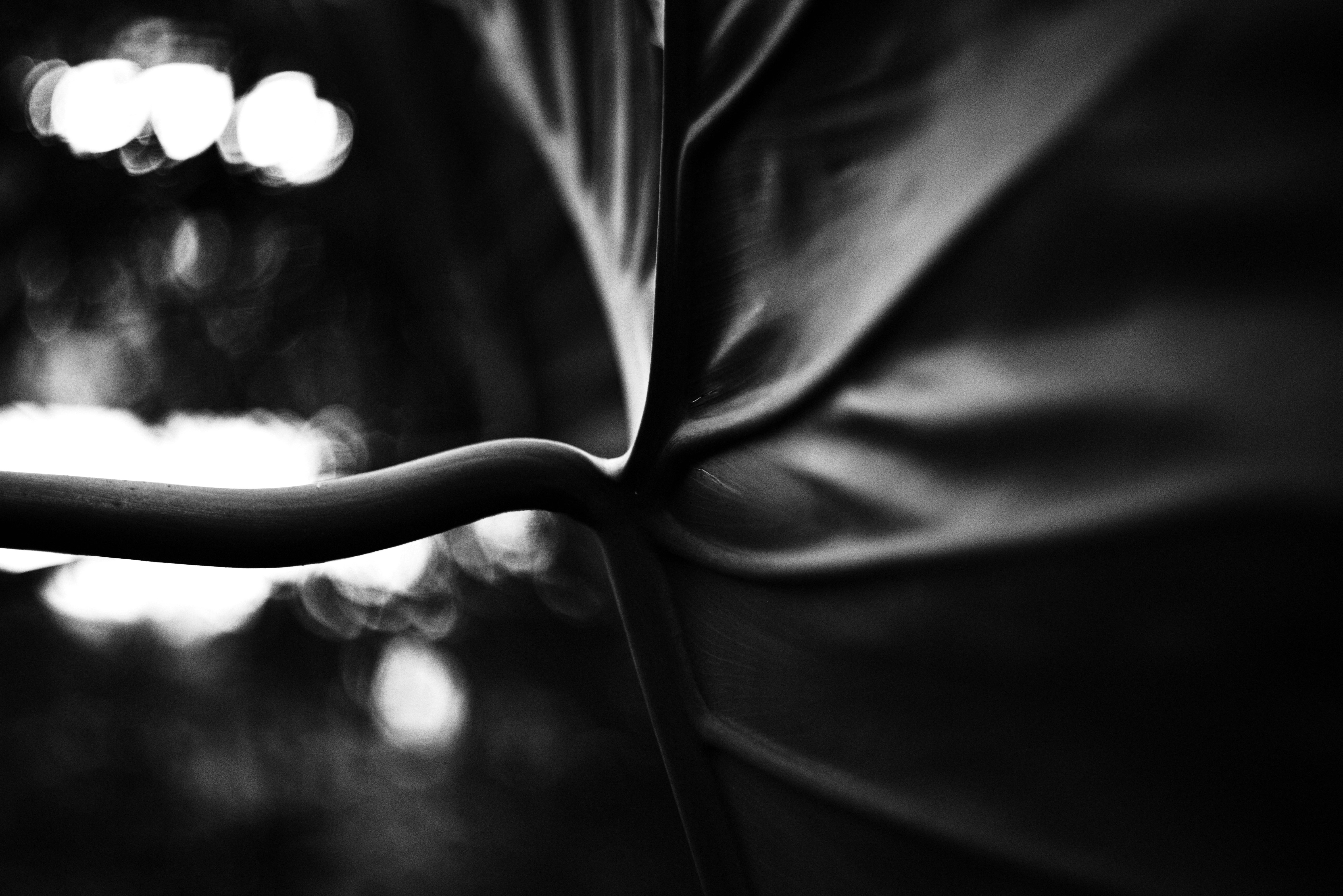 Photo by cherstve_pechivo