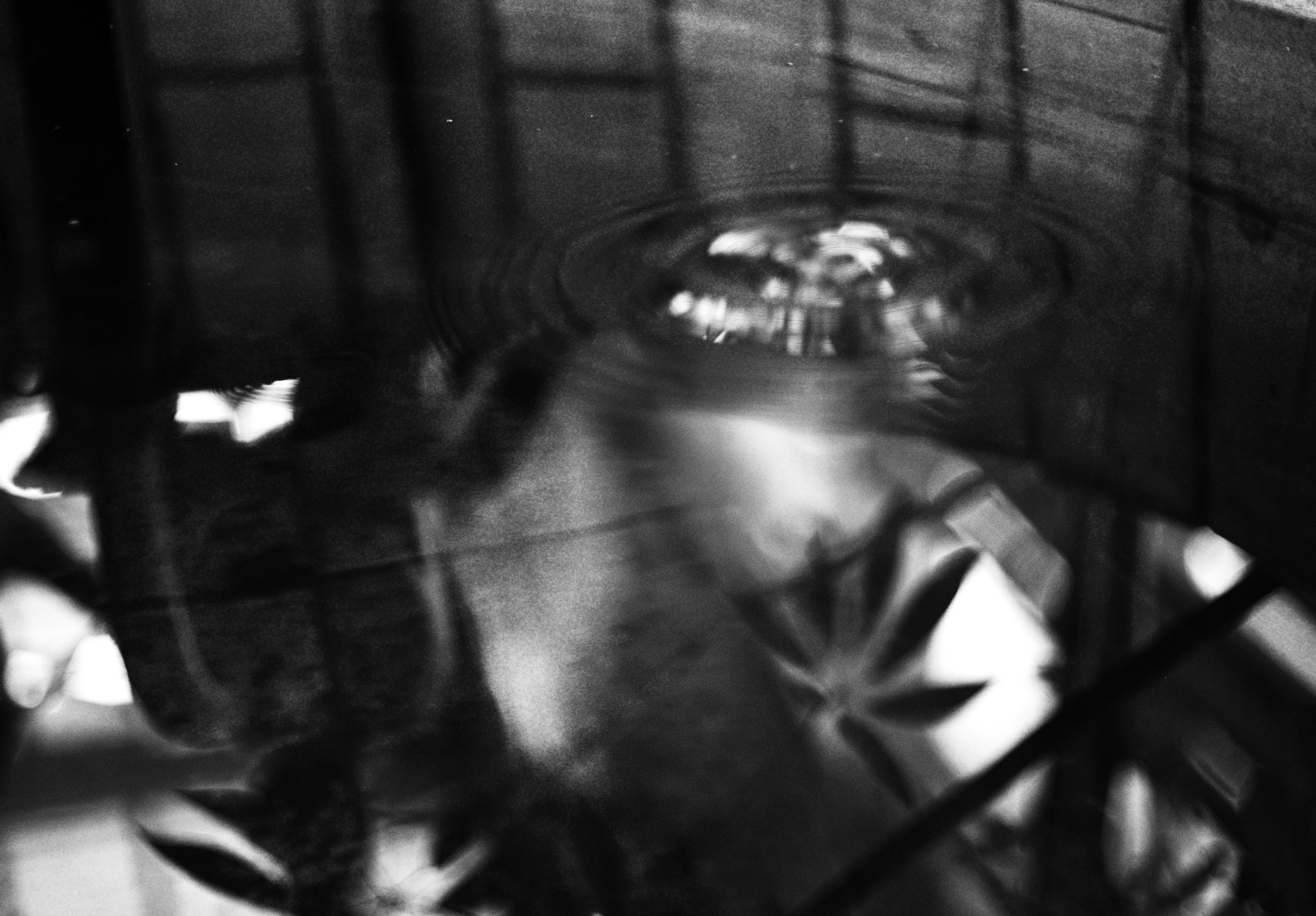 RadiAnt Portable (Trial) Digital Radiography and Imaging