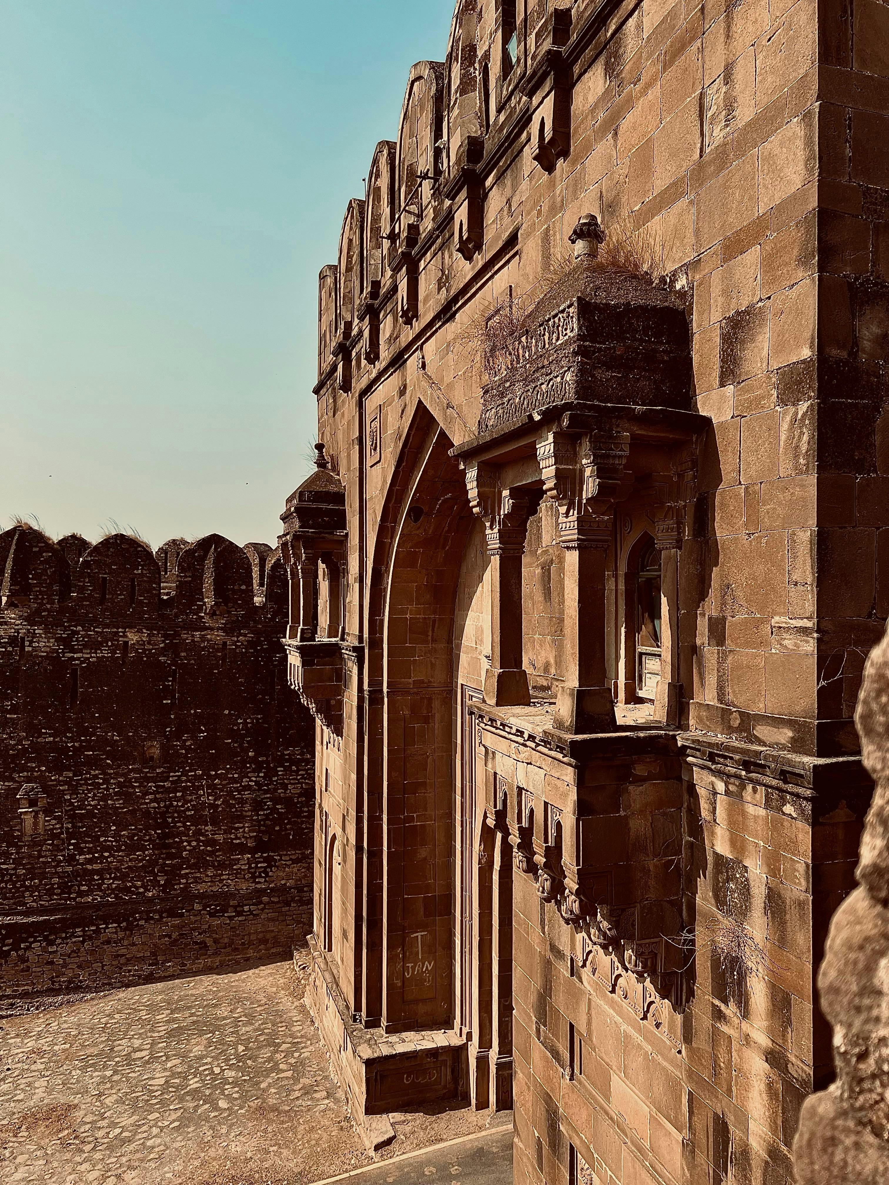 Photo by aliraza8857