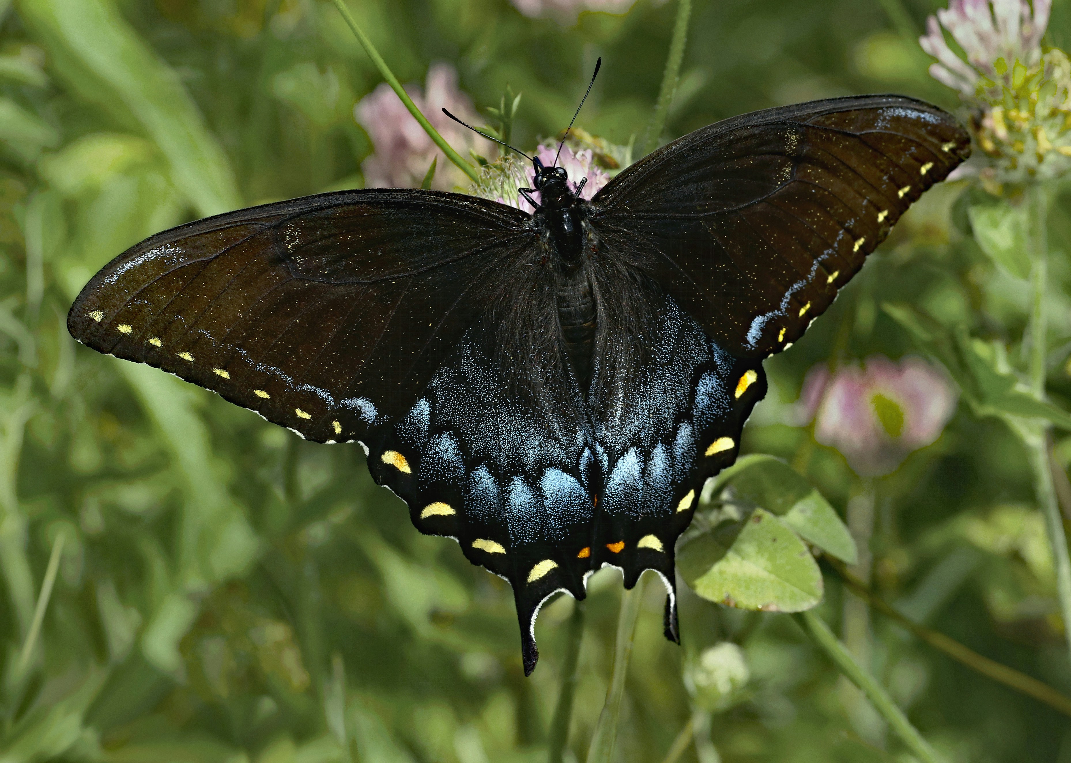 Photo by telliottmbamsc