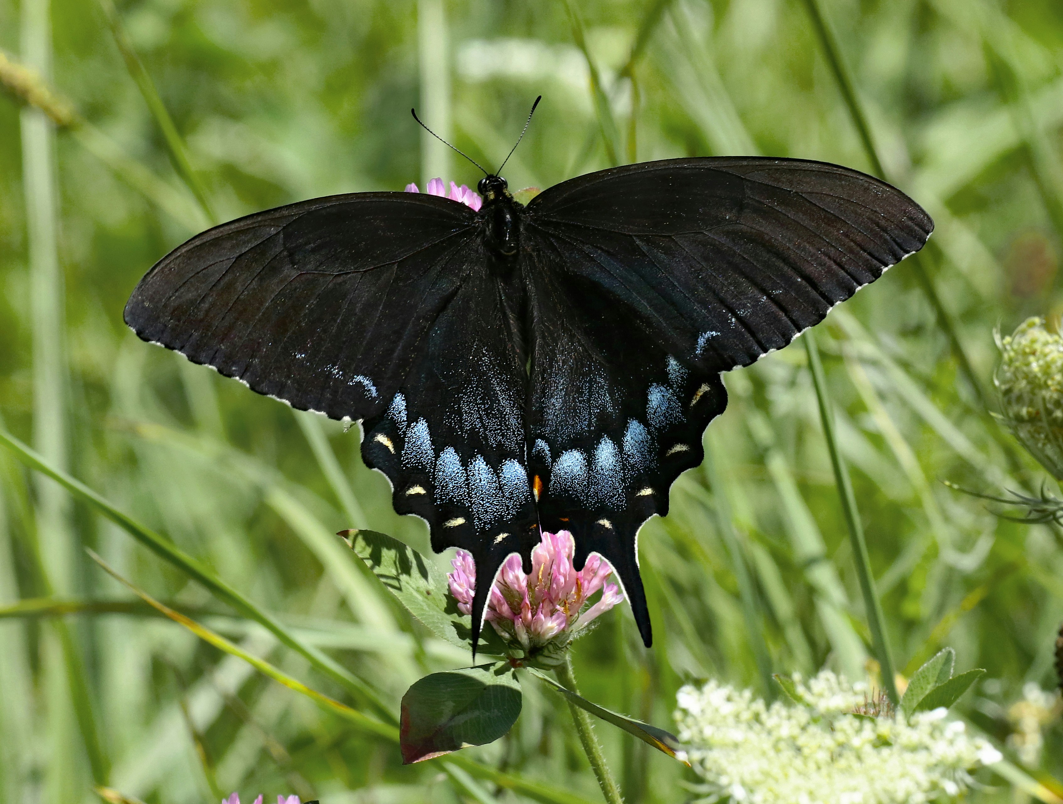 Photo by telliottmbamsc