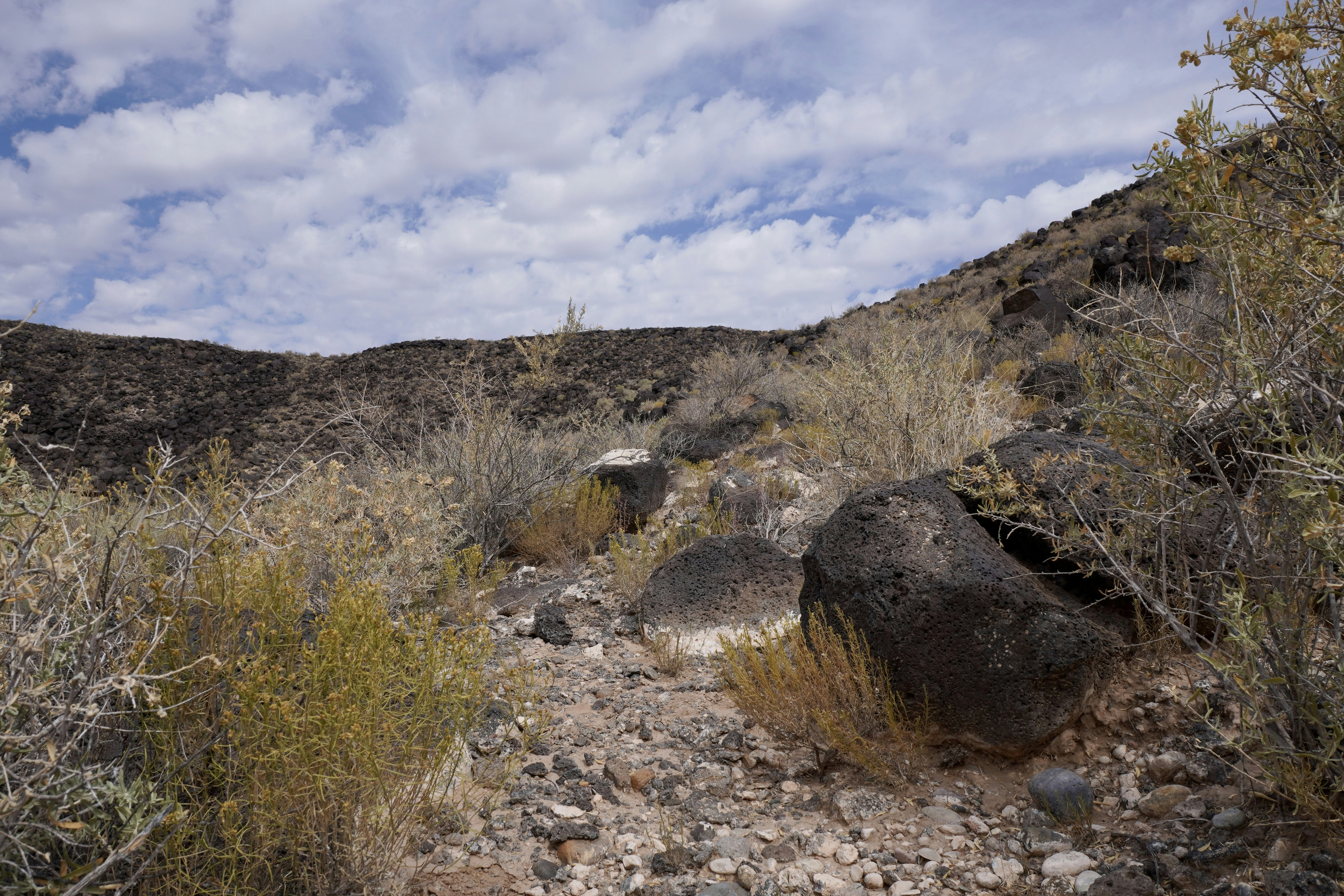 干ばつで河川完全枇渇？極端渇水による水源完全消失関連画像