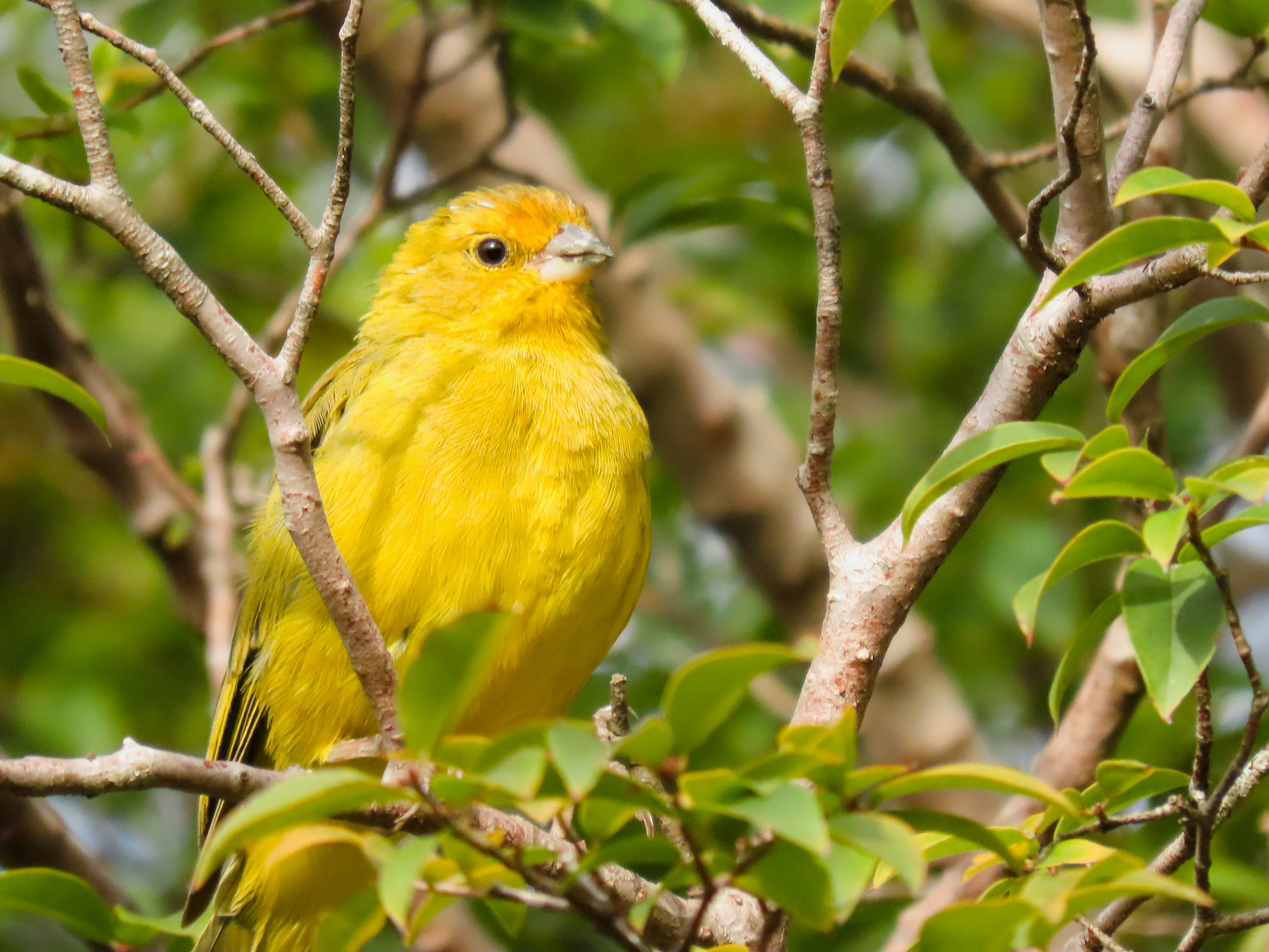 Photo by patricianicoloso