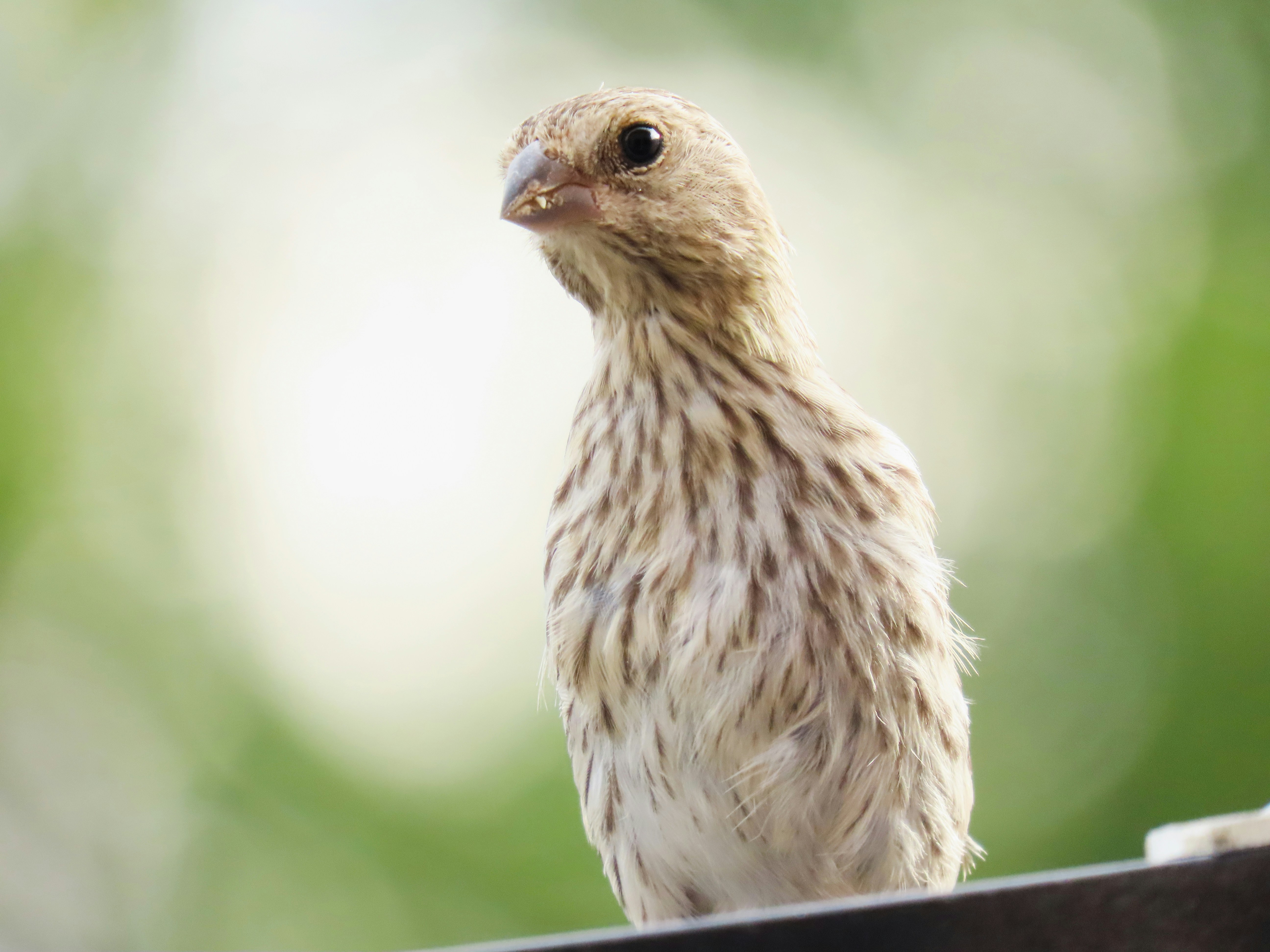 Photo by patricianicoloso