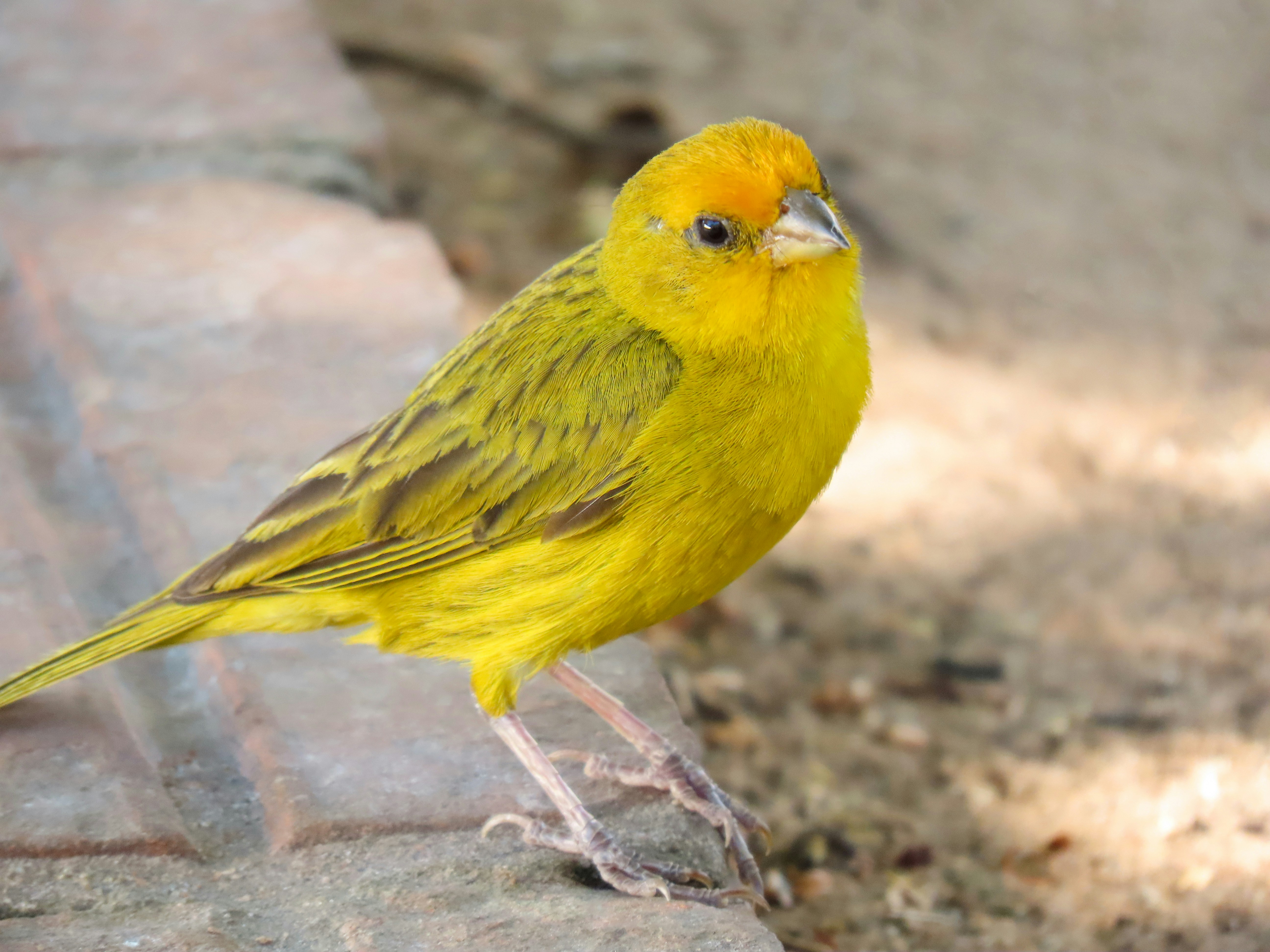 Photo by patricianicoloso