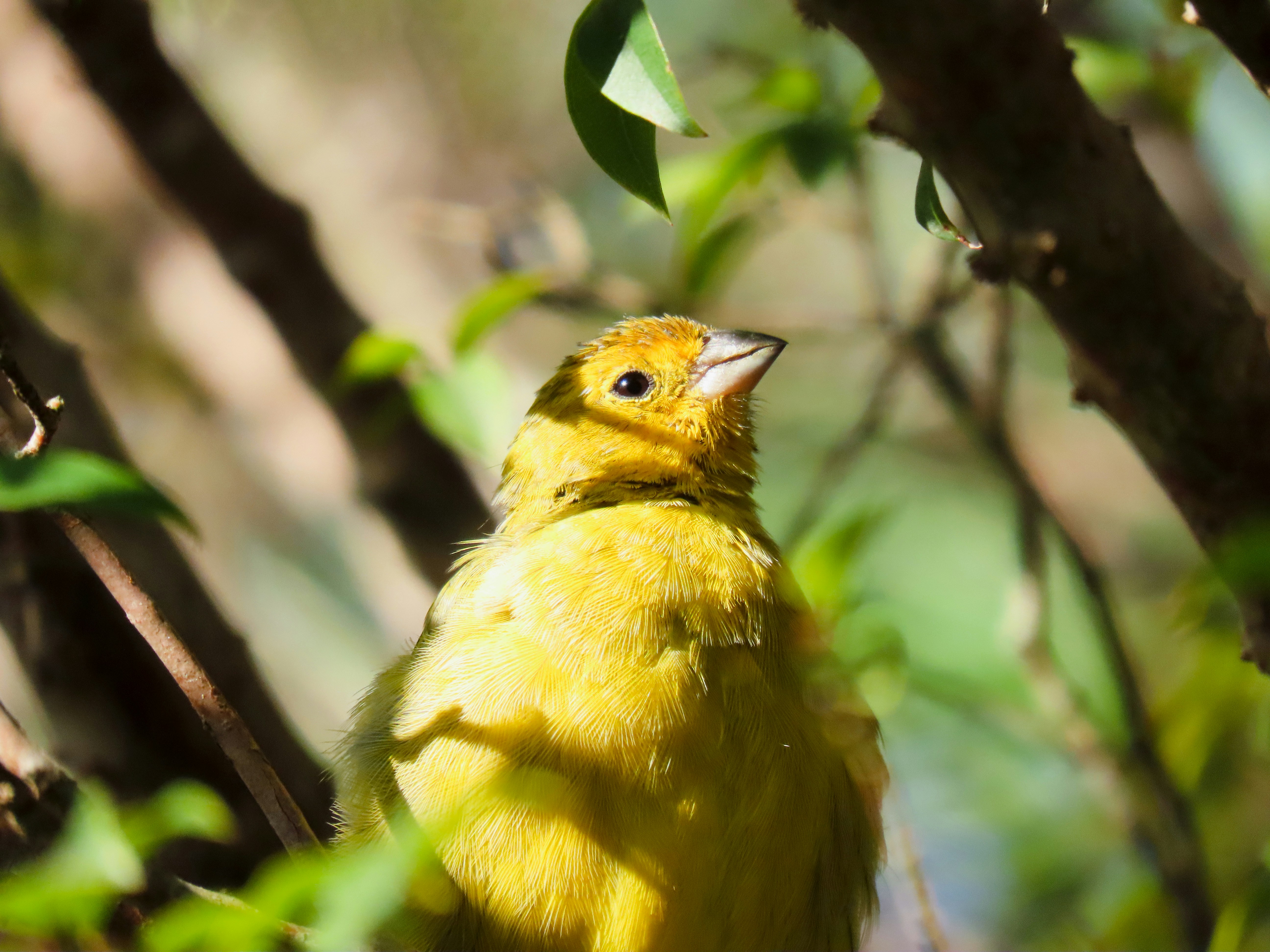 Photo by patricianicoloso