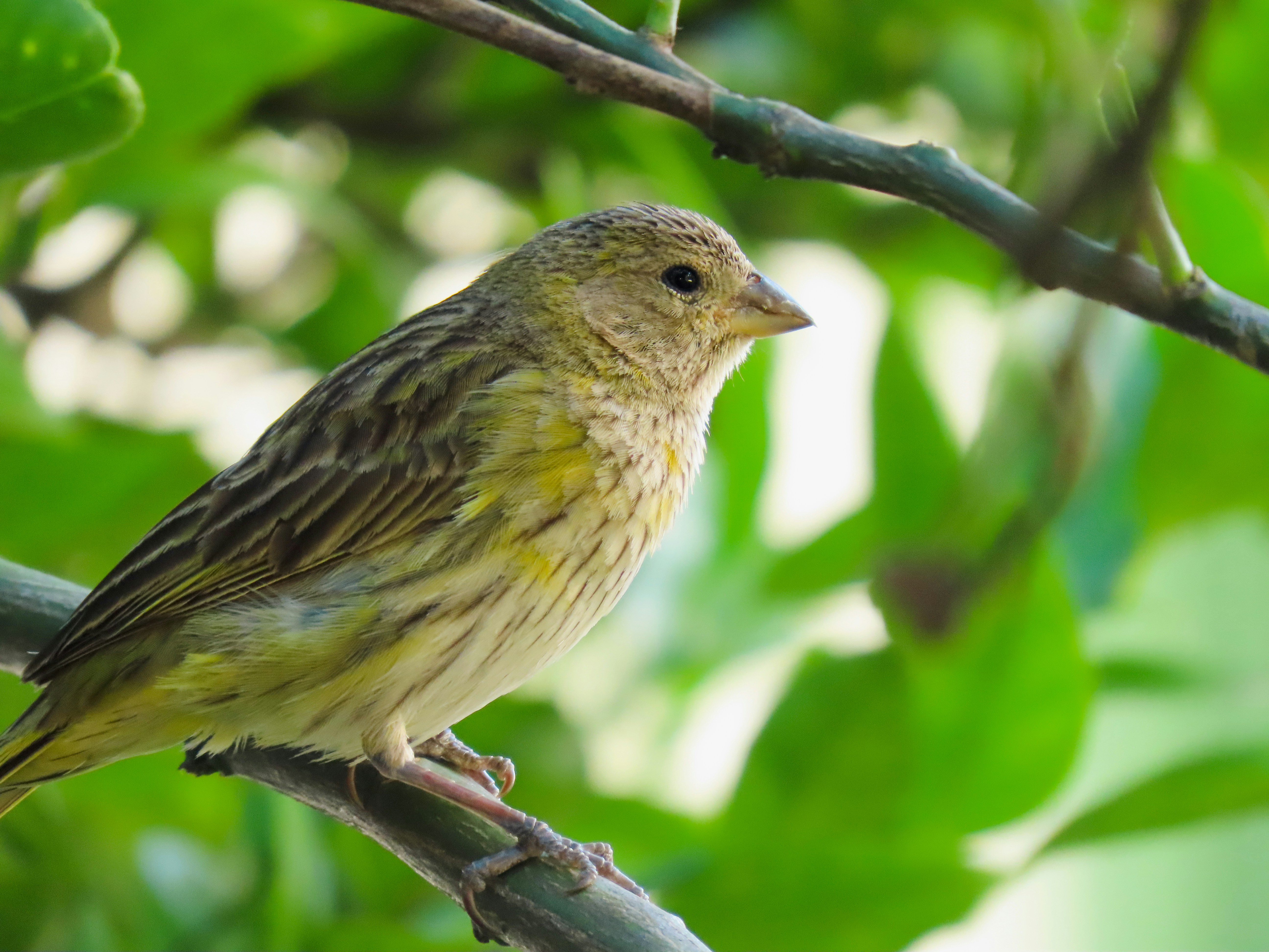 Photo by patricianicoloso