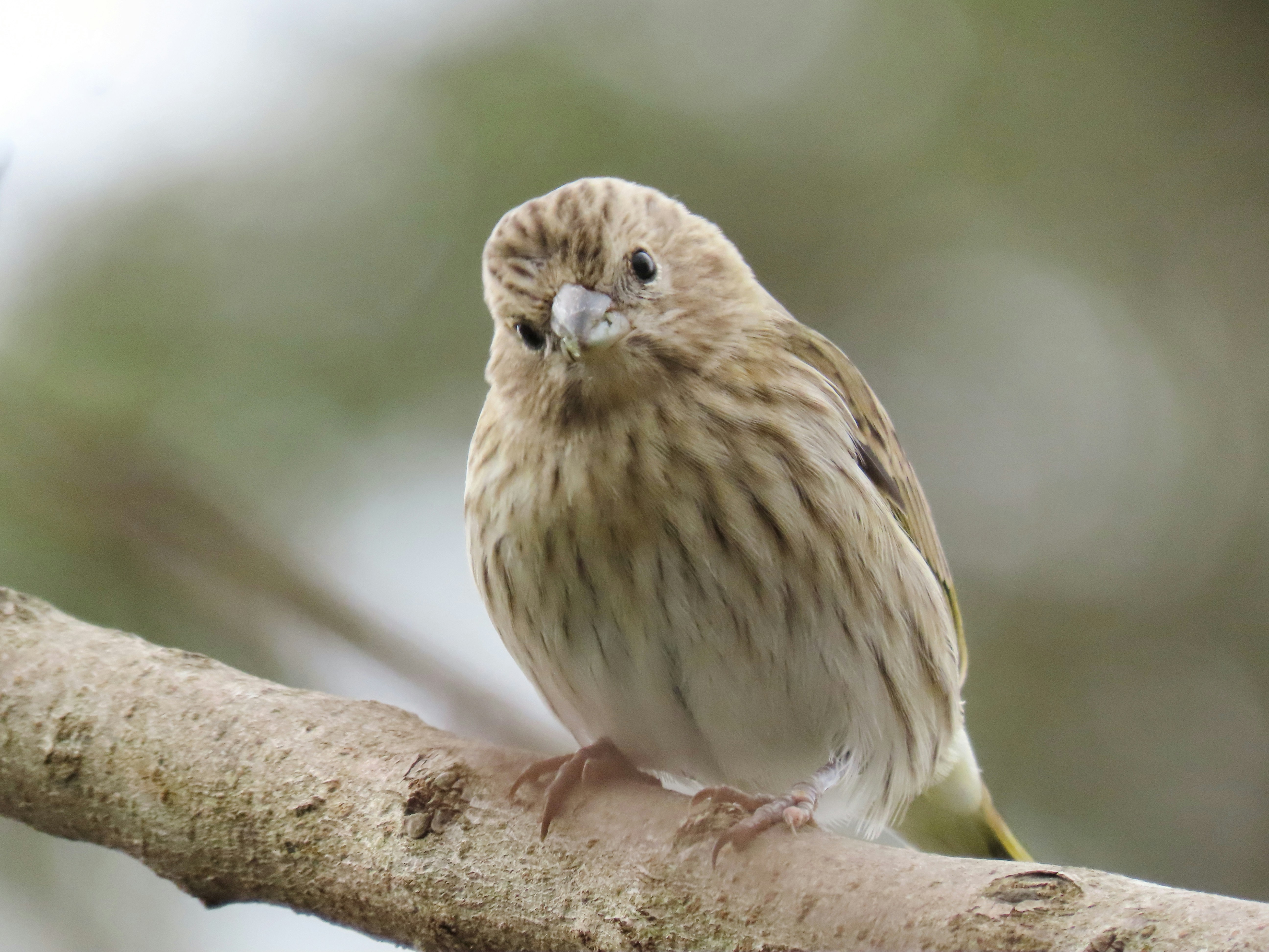 Photo by patricianicoloso