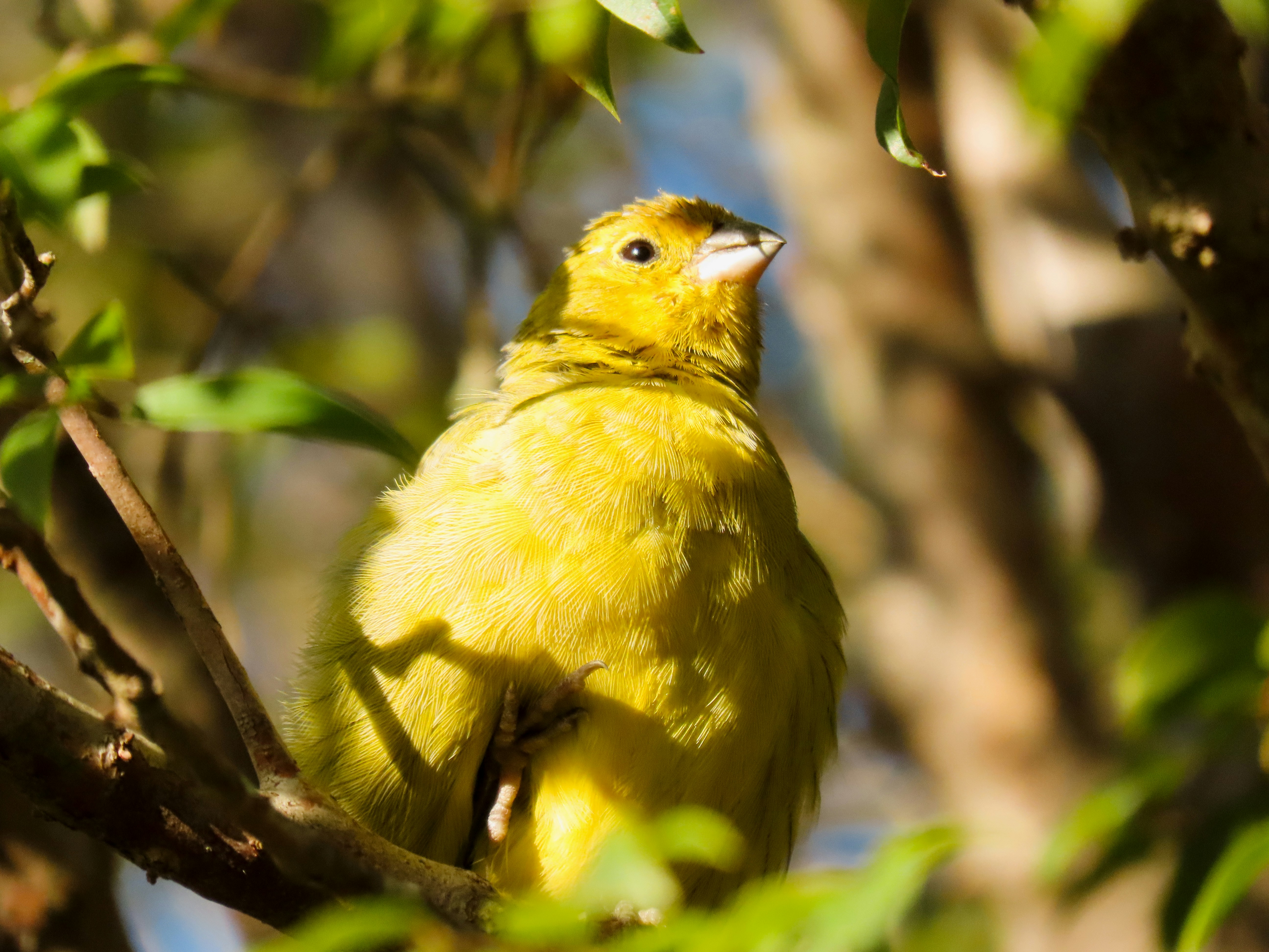 Photo by patricianicoloso