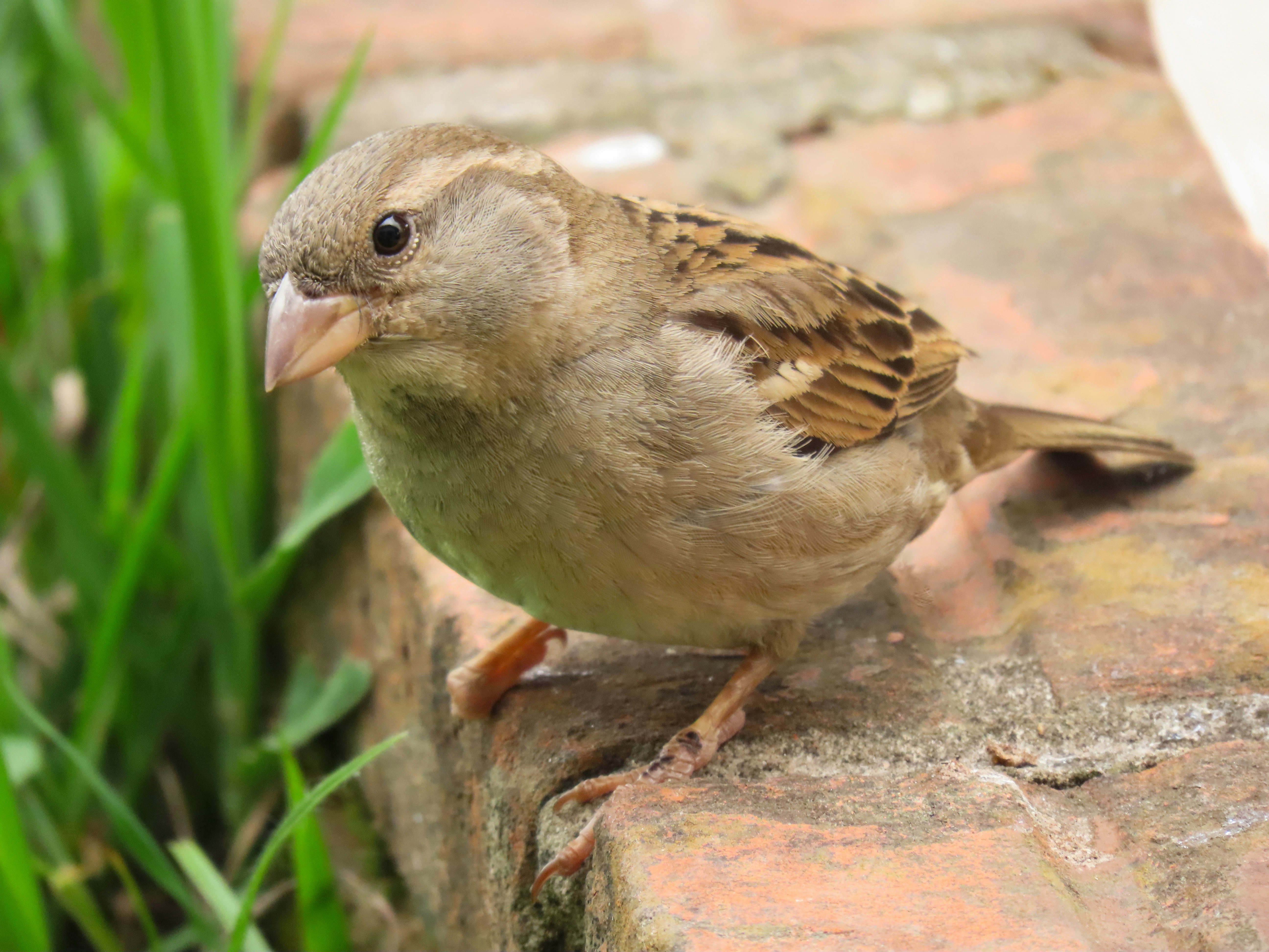 photo-1739923468594-94ace7389dbc?ixid=M3wxMjA3fDB8MXxzZWFyY2h8MTV8fGphc2ElMjBmb3RvJTIwcHJvZHVrJTIwbXVyYWh8ZW58MHx8fHwxNzQxMDIyNjg0fDA\u0026ixlib=rb-4.0.3