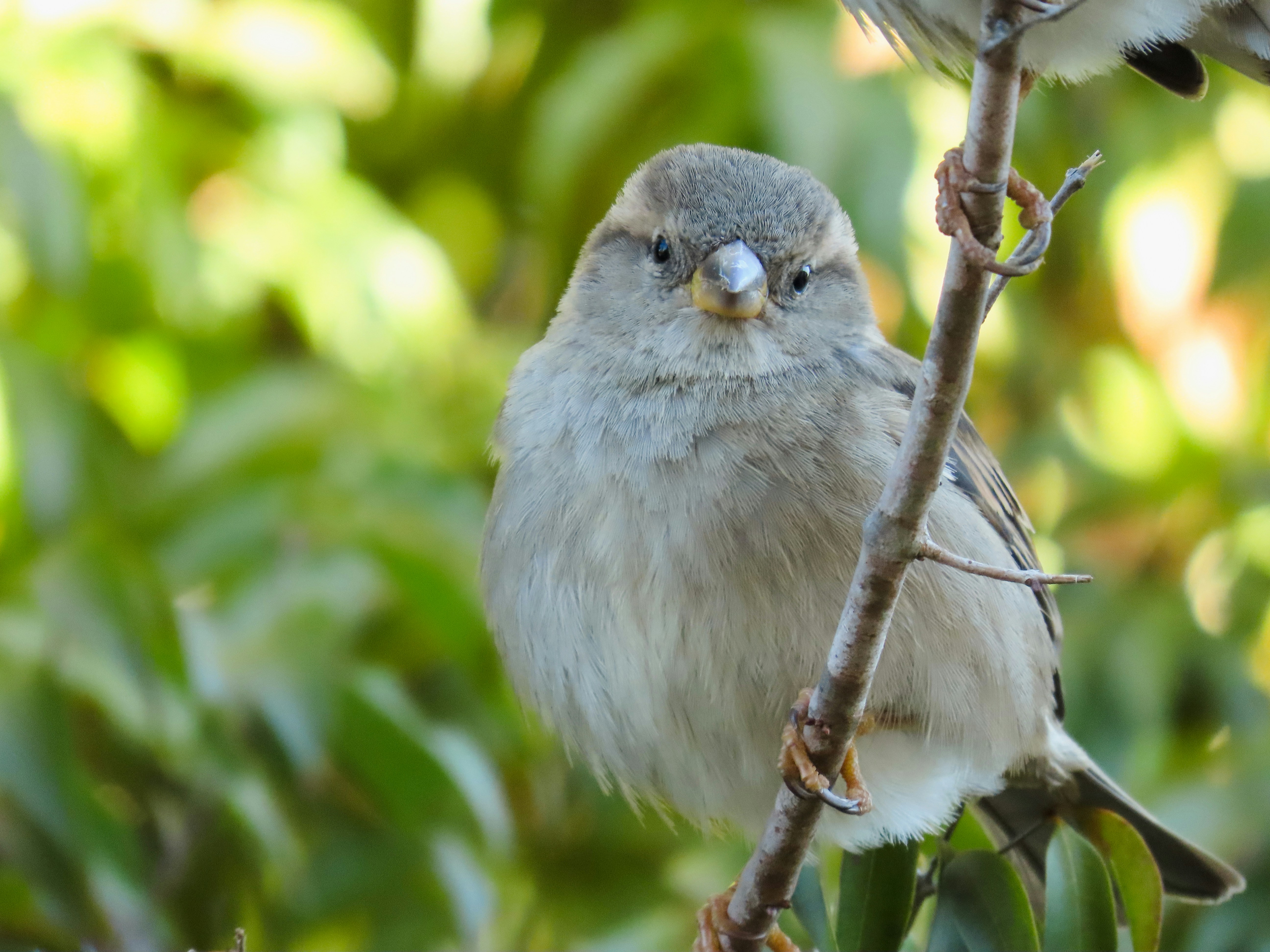 Photo by patricianicoloso