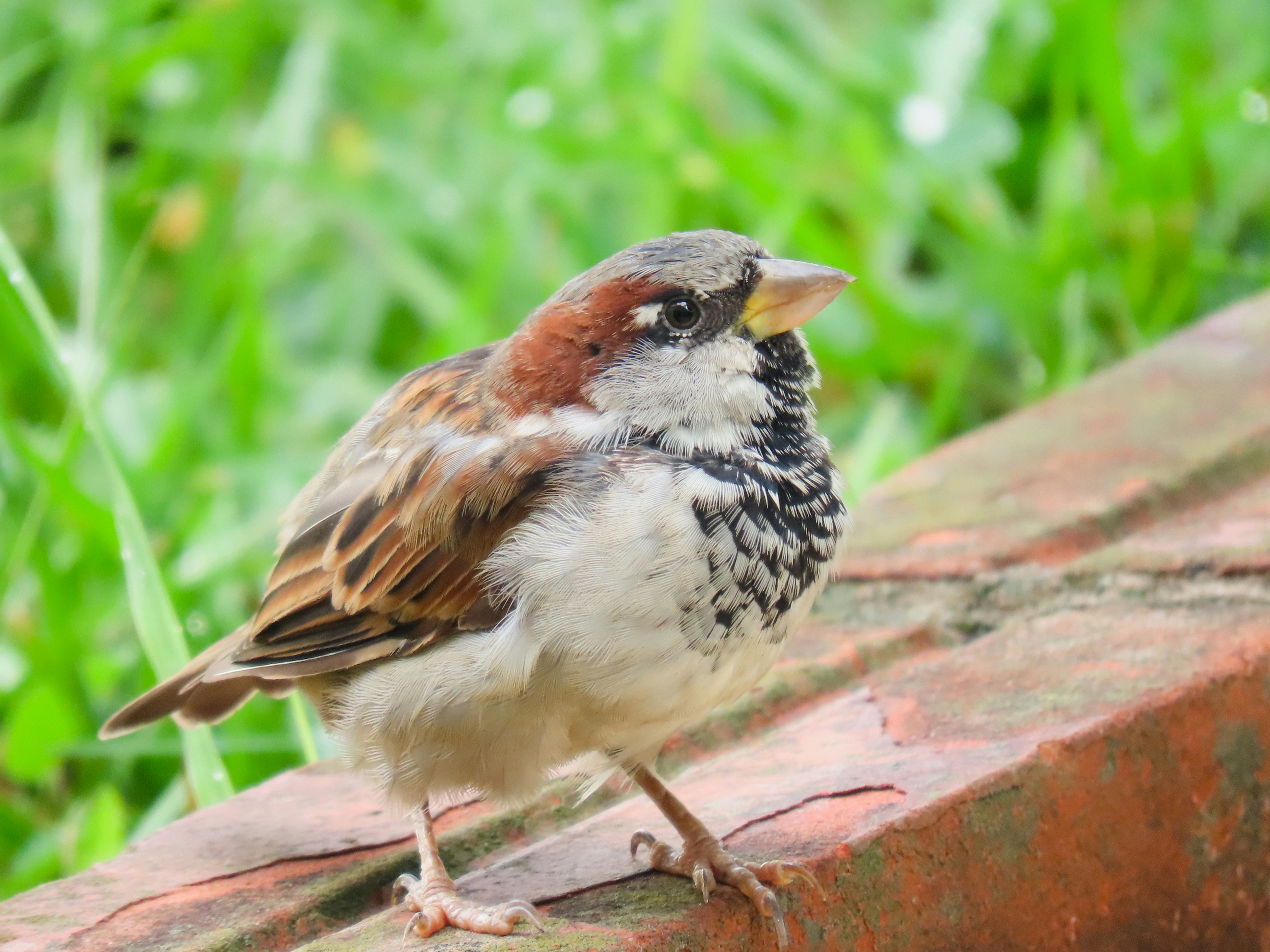 Photo by patricianicoloso