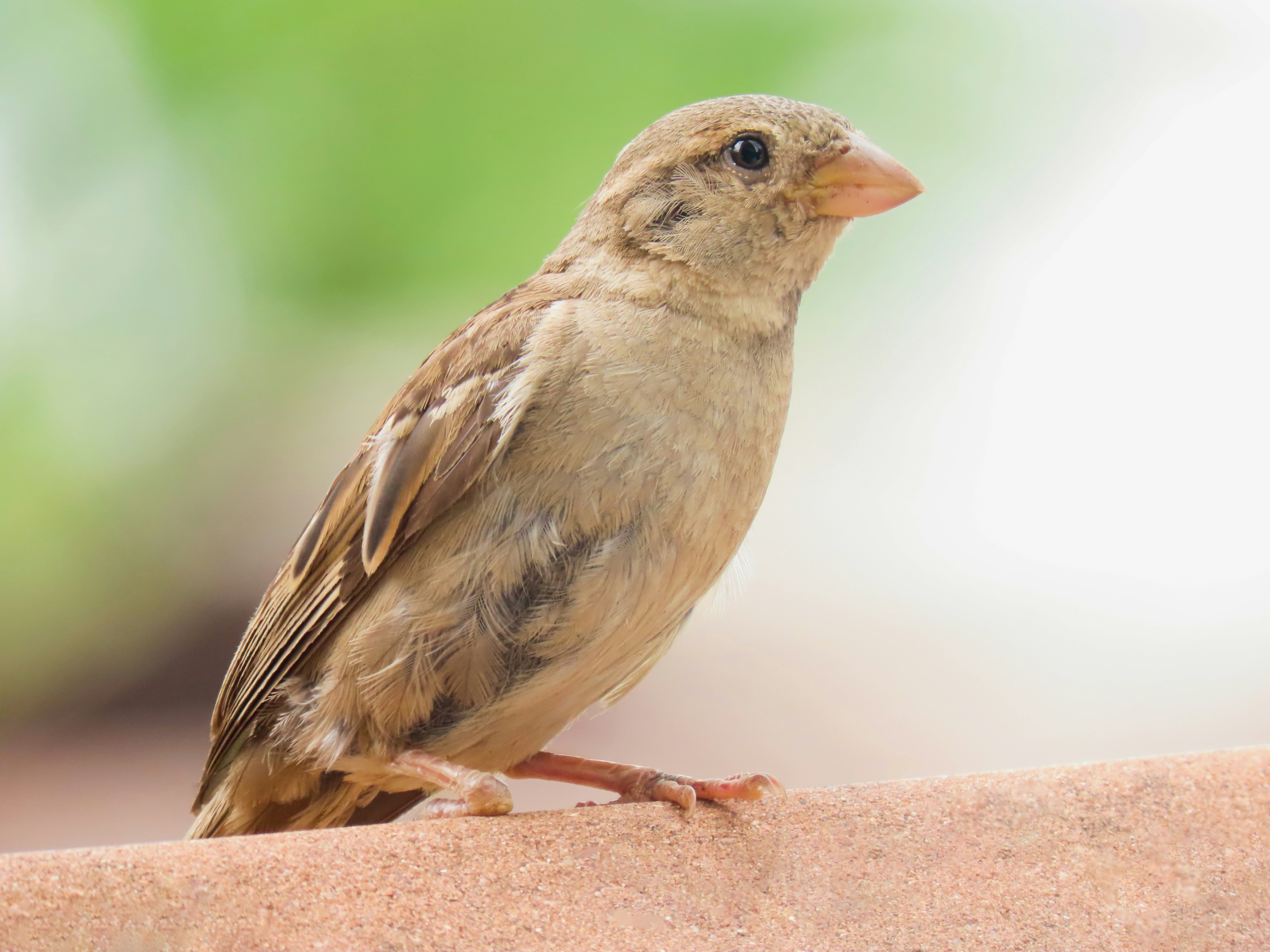 Photo by patricianicoloso