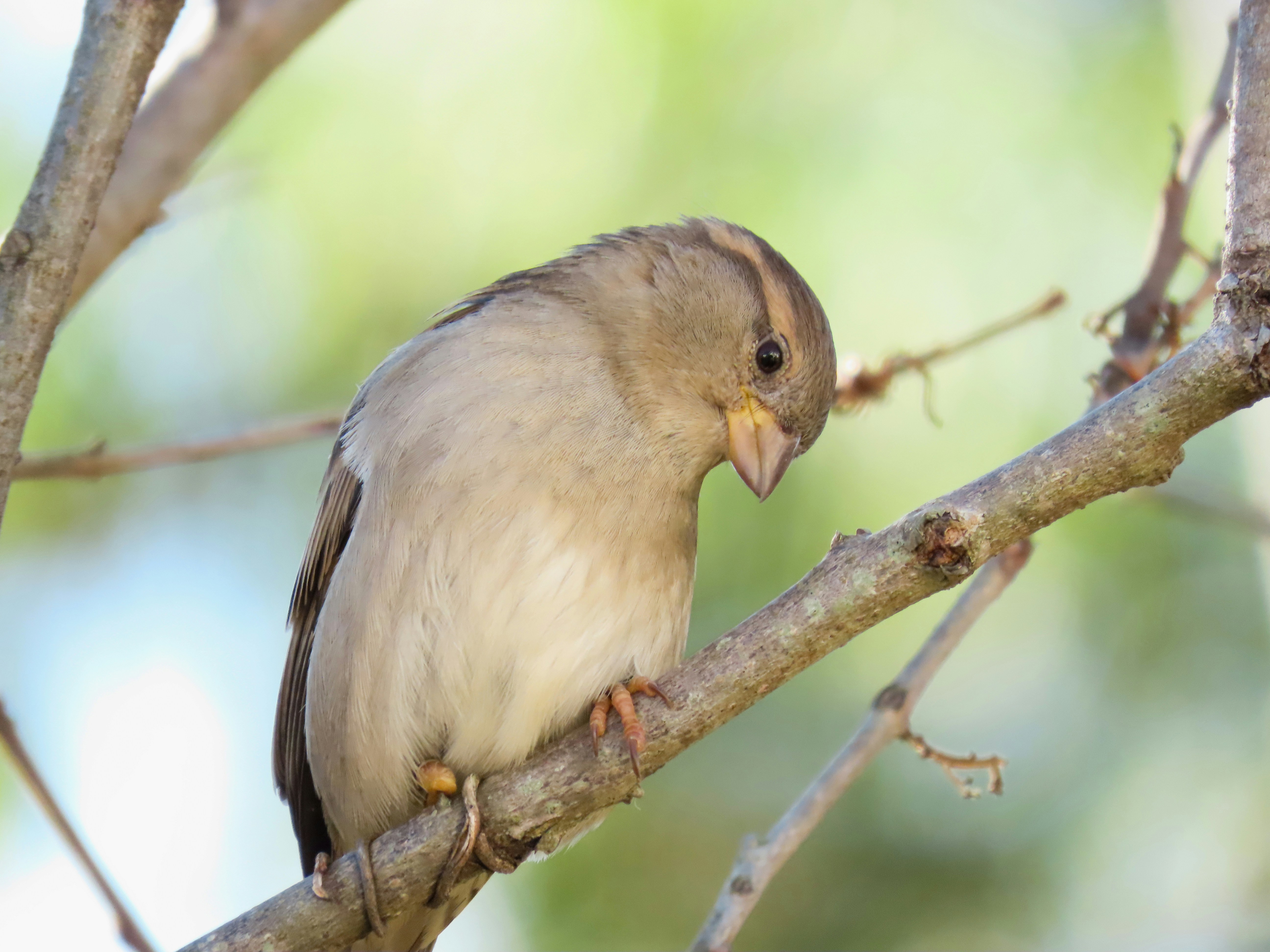 Photo by patricianicoloso