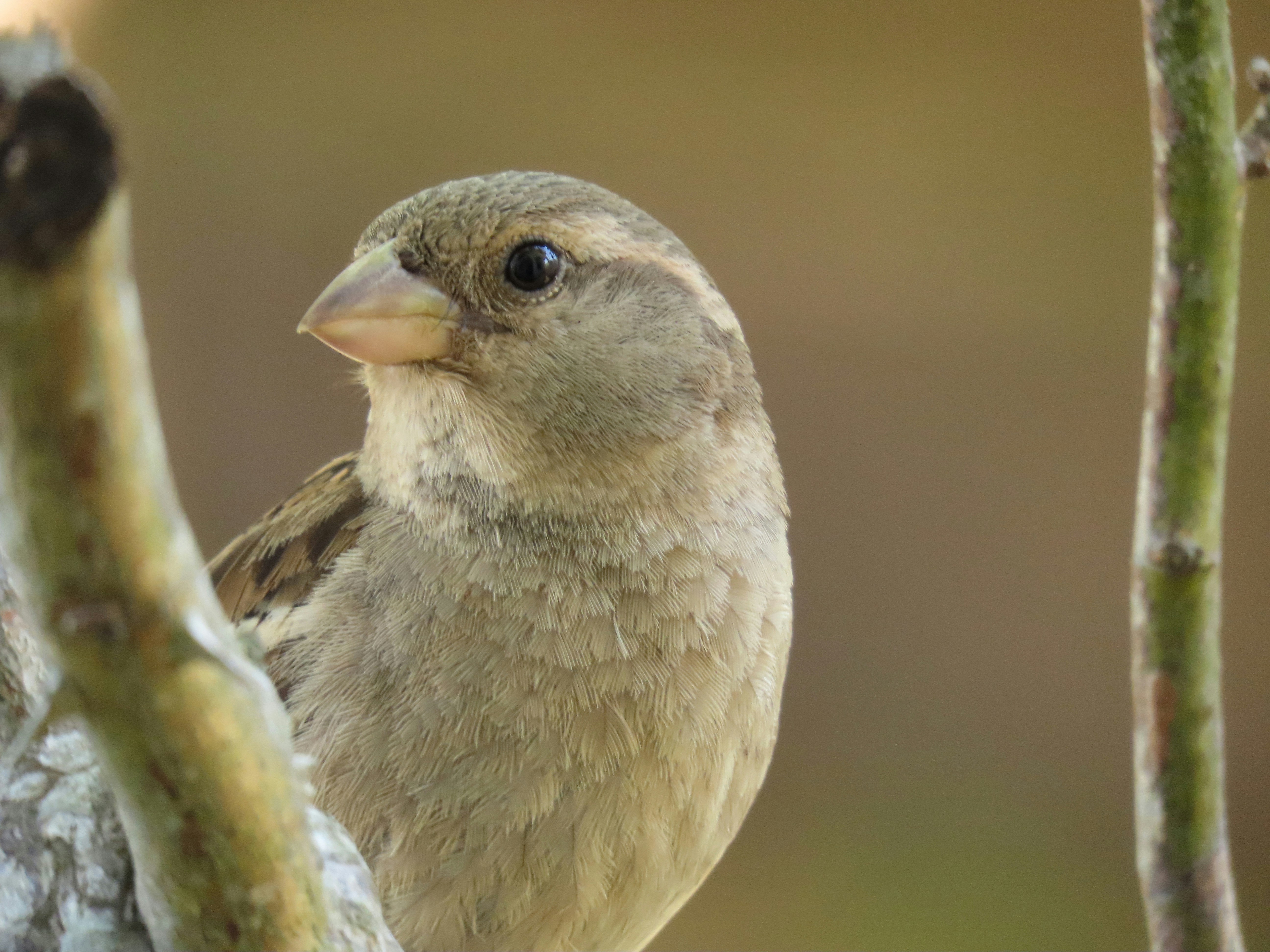 Photo by patricianicoloso