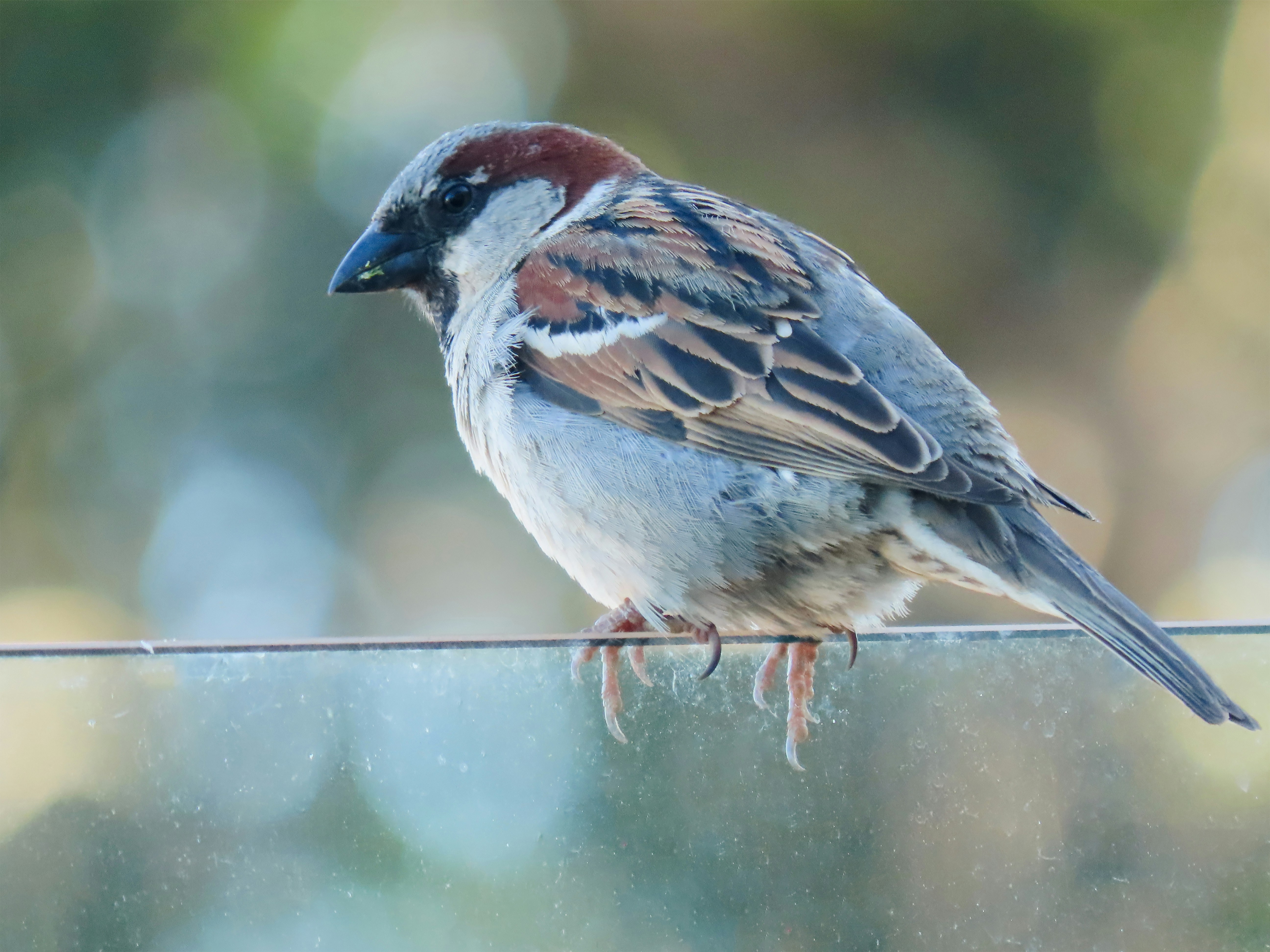 Photo by patricianicoloso