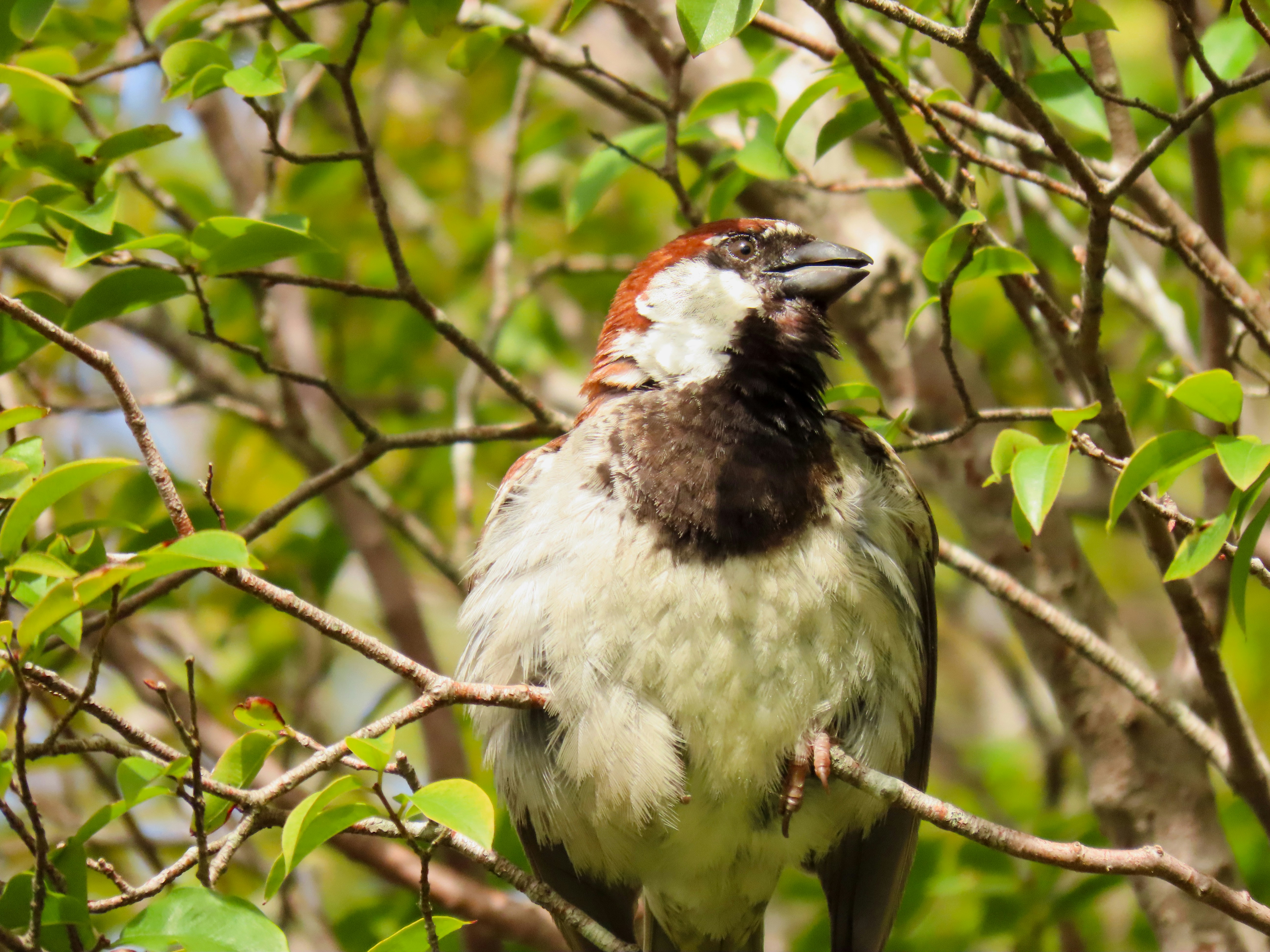 Photo by patricianicoloso