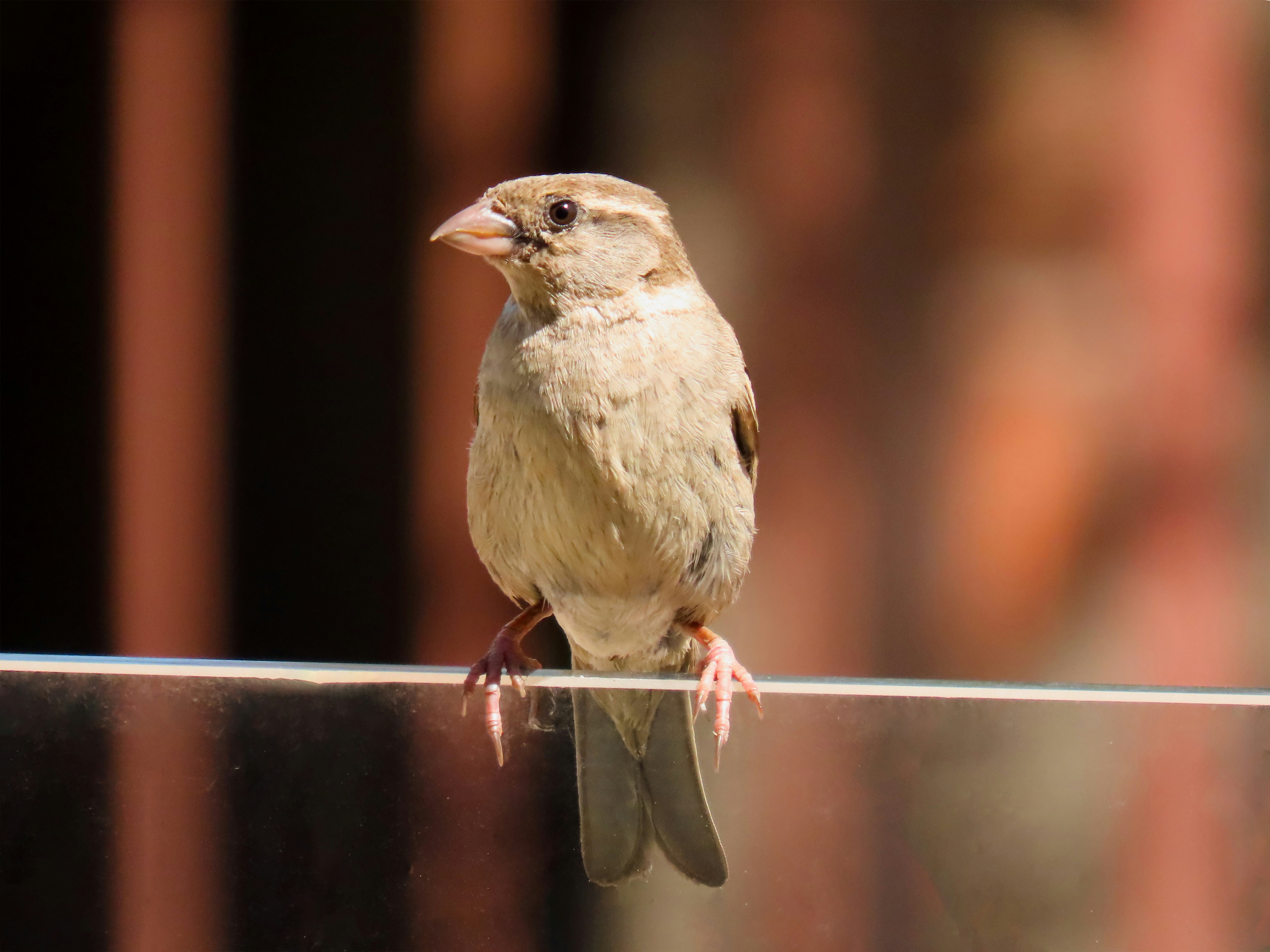 Photo by patricianicoloso