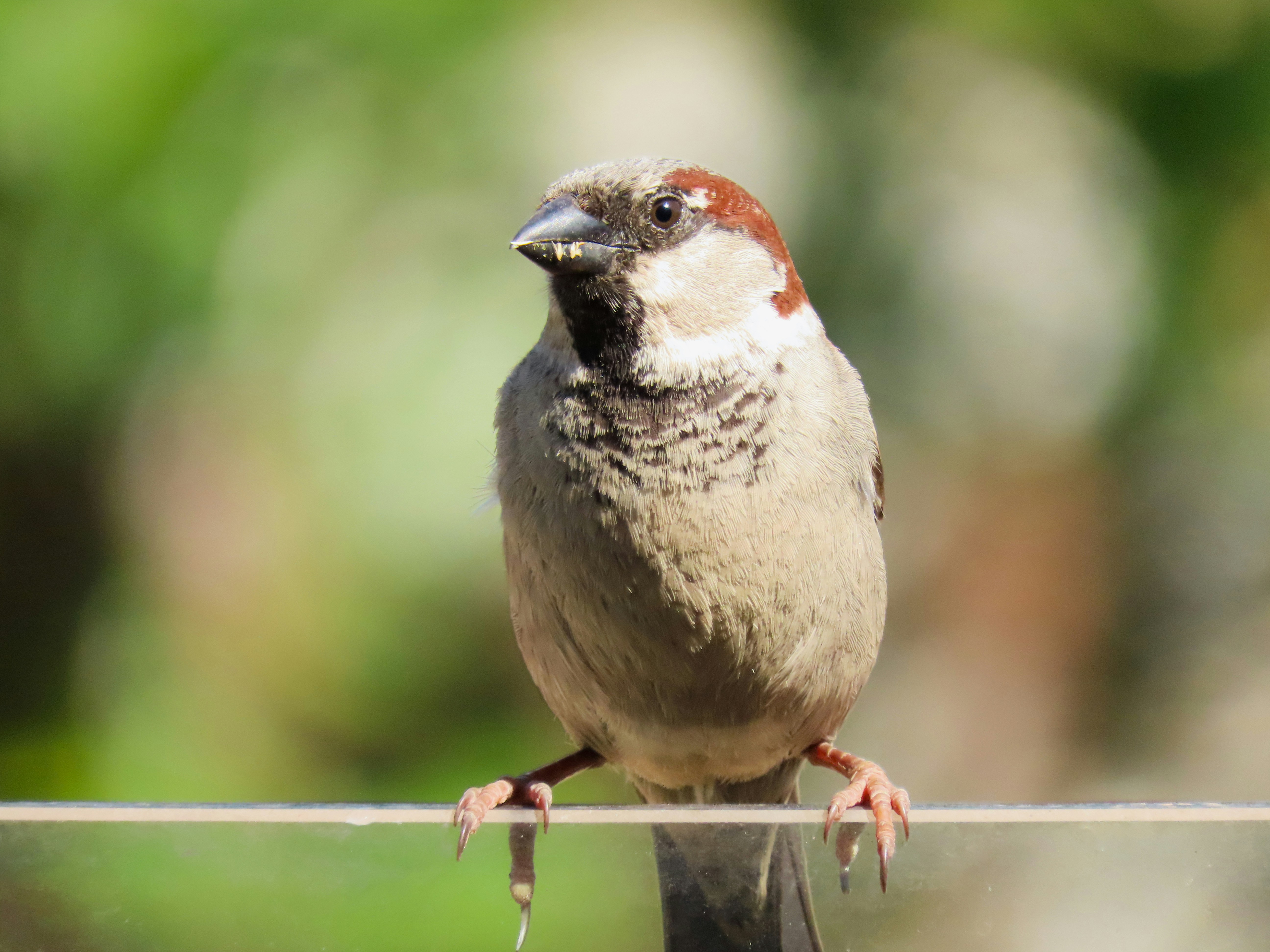 Photo by patricianicoloso