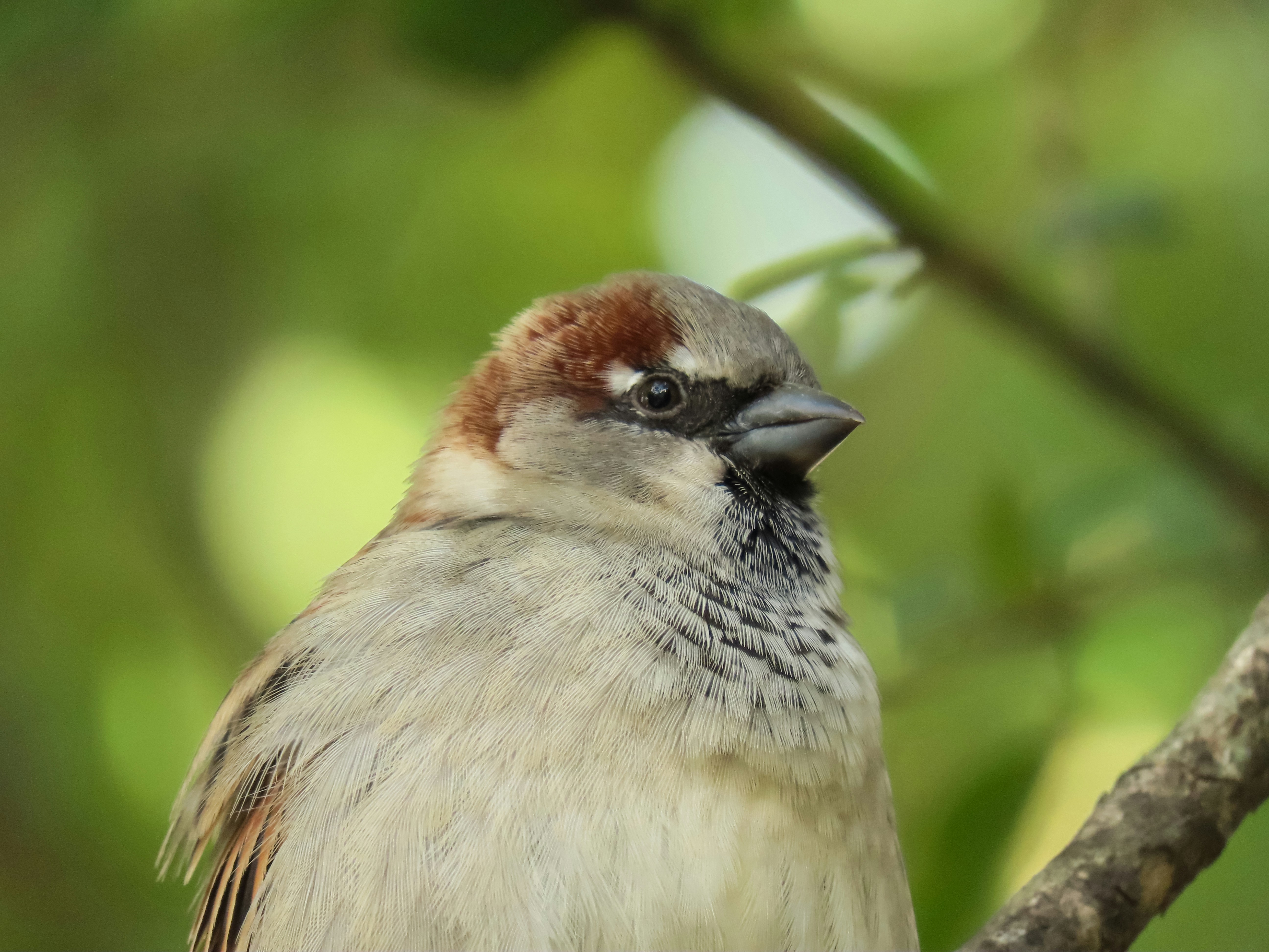 Photo by patricianicoloso