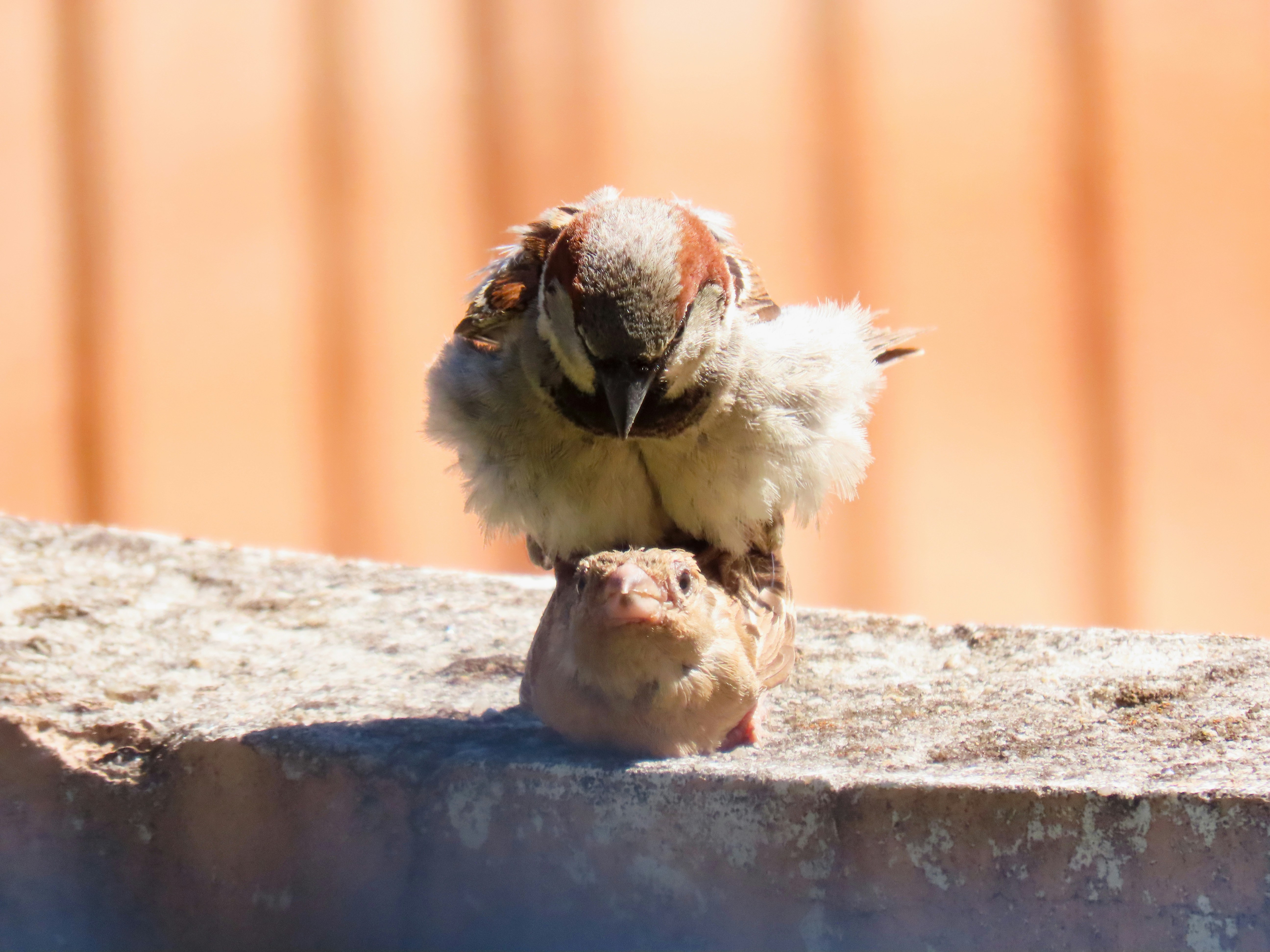 Photo by patricianicoloso