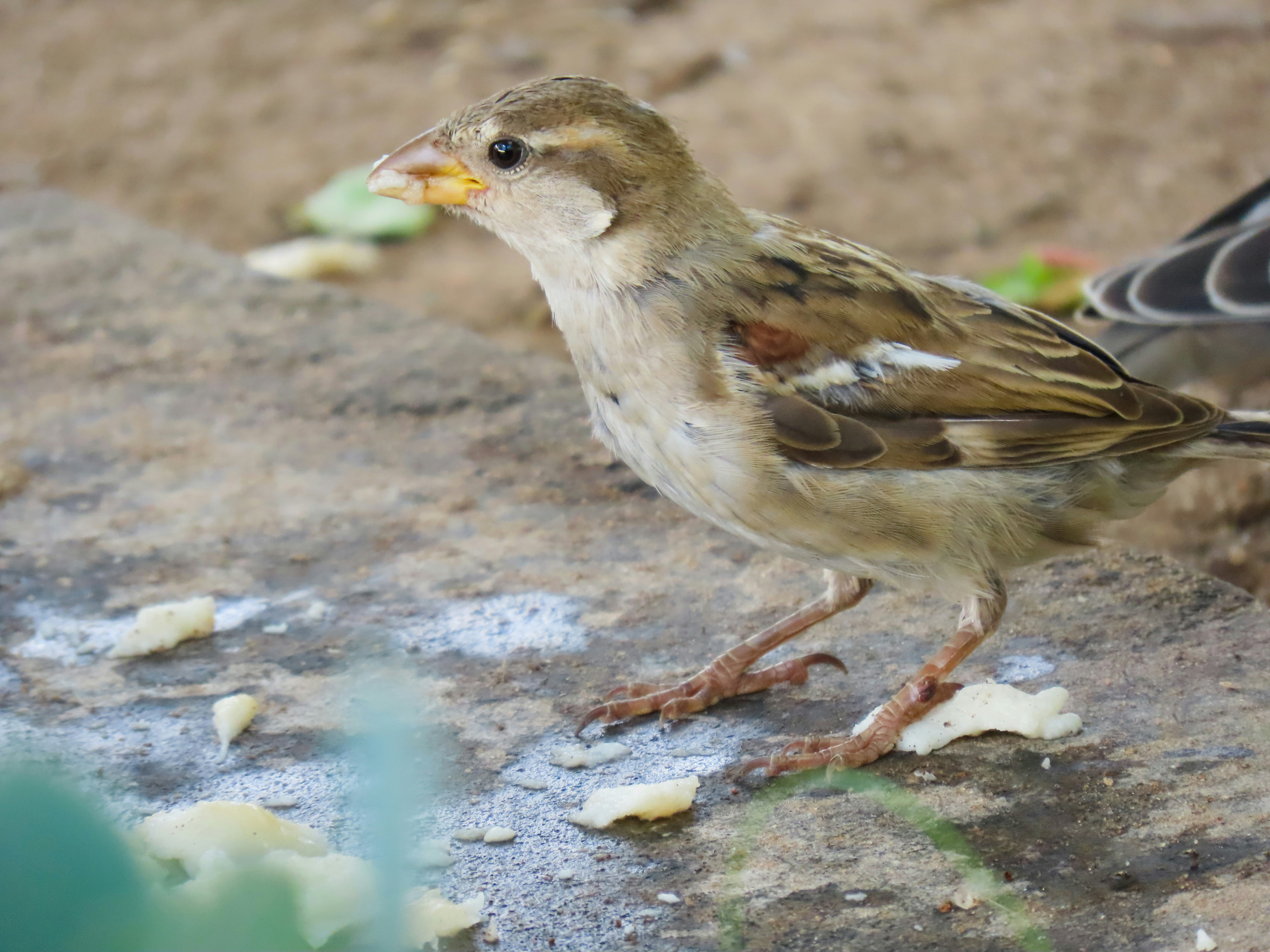 Photo by patricianicoloso