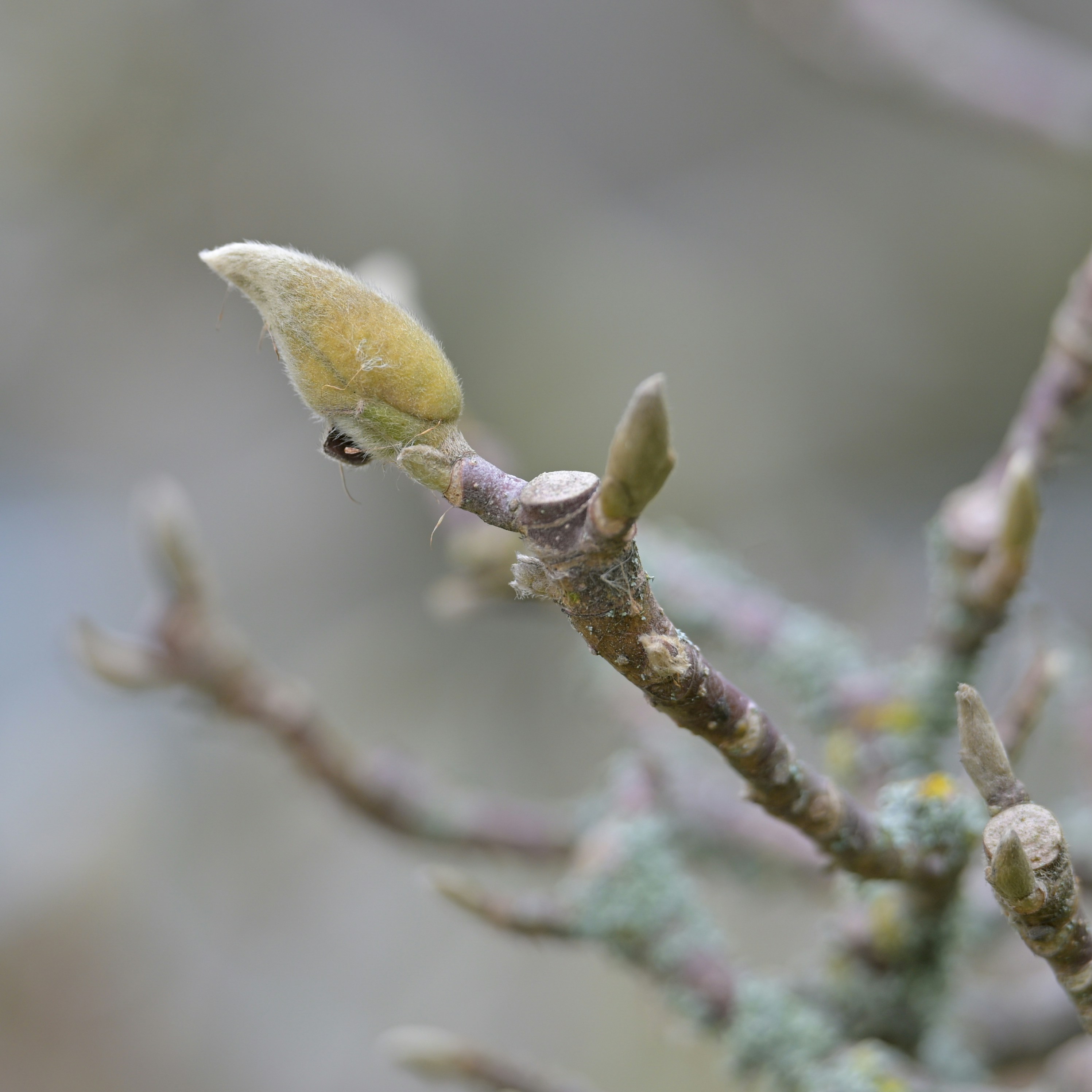 Photo by jonathankslim