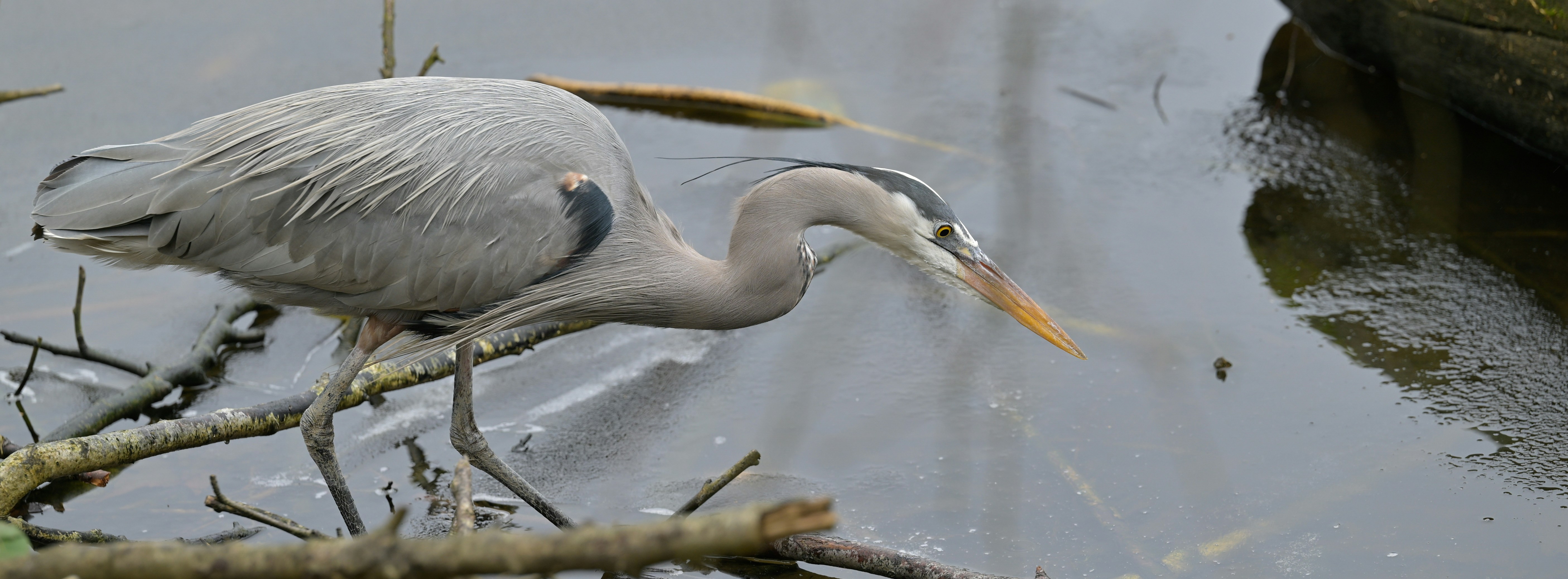 Photo by jonathankslim