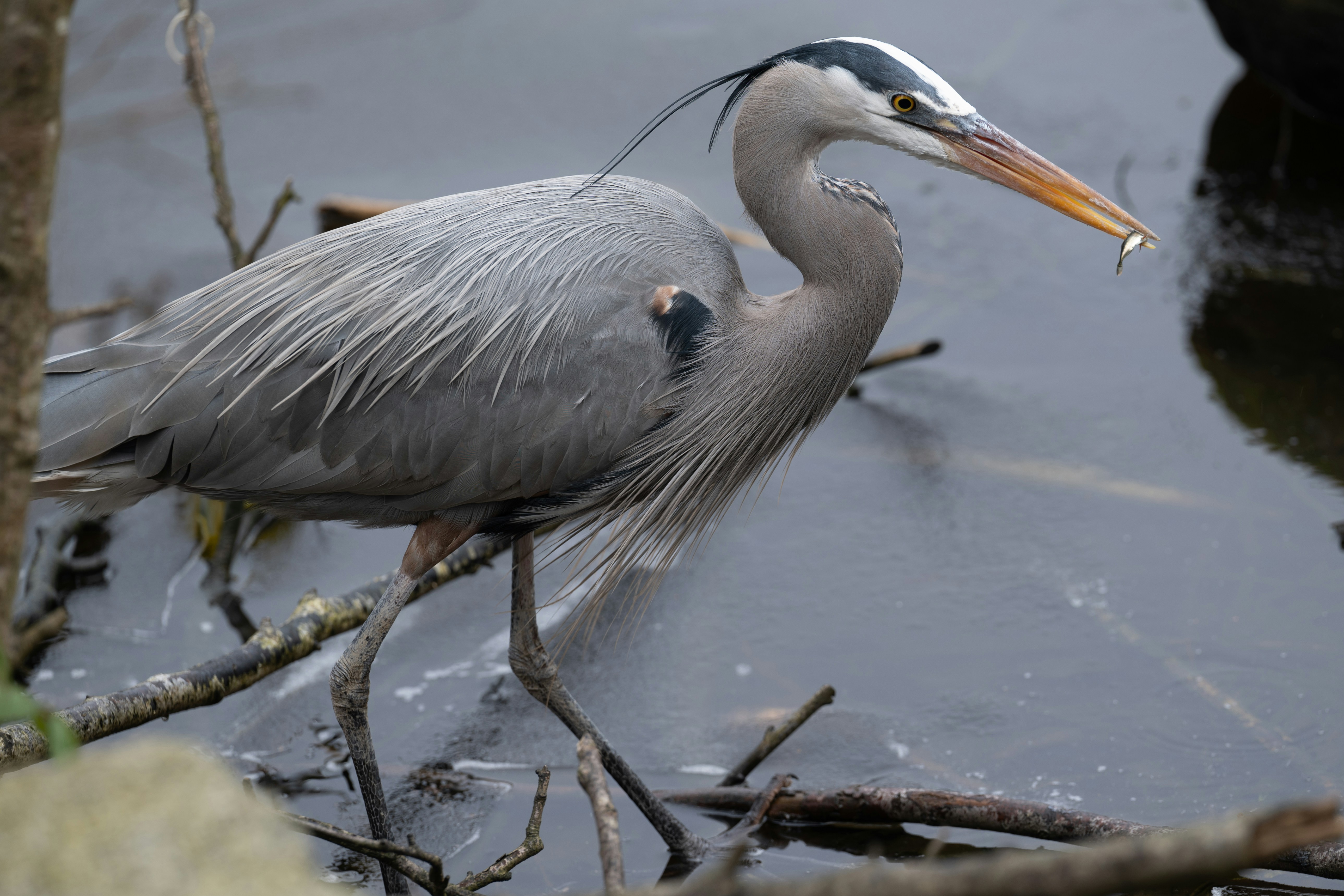 Photo by jonathankslim