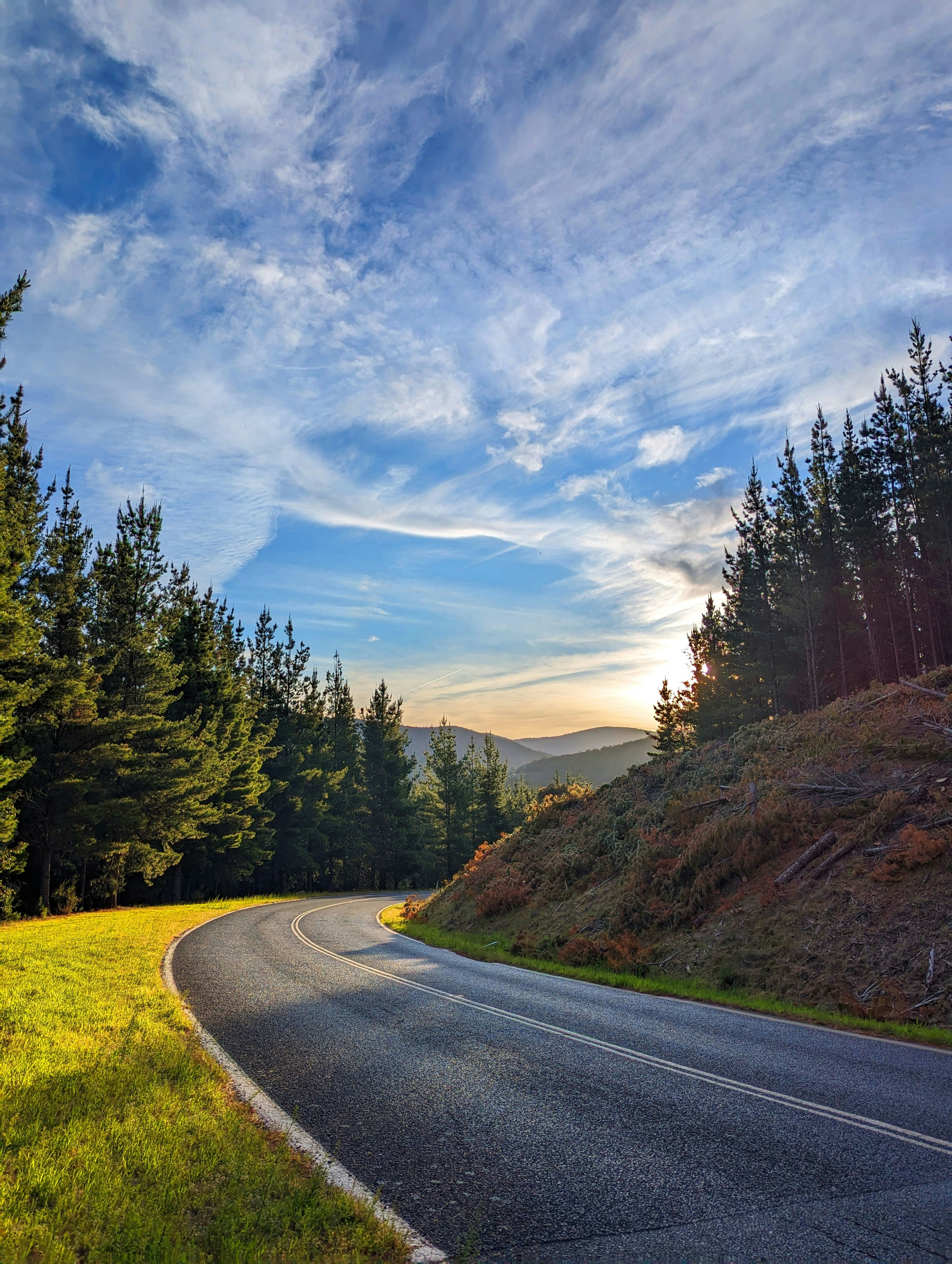 Photo by brandonmartin