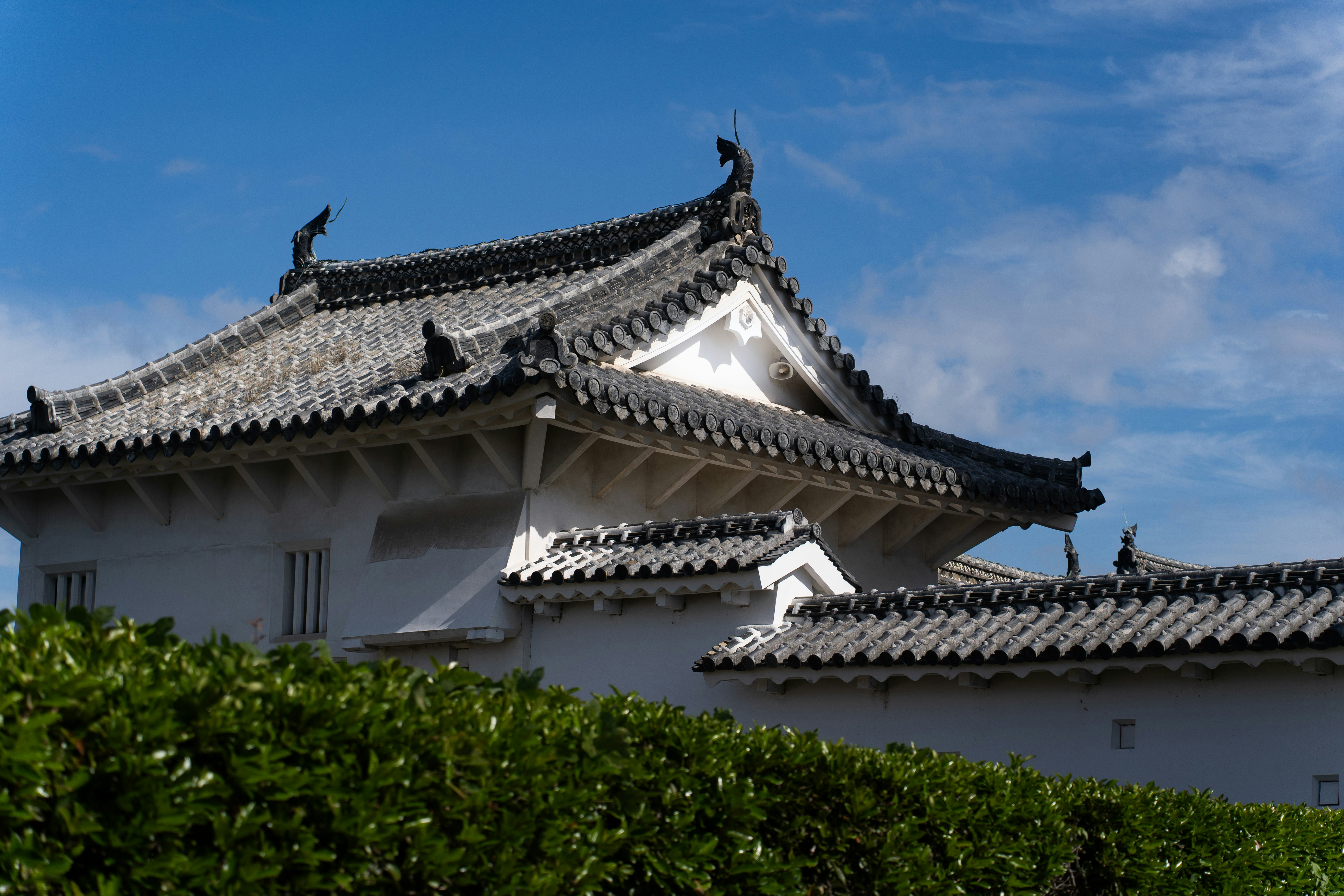 A white building with a bird sitting on top of it, 